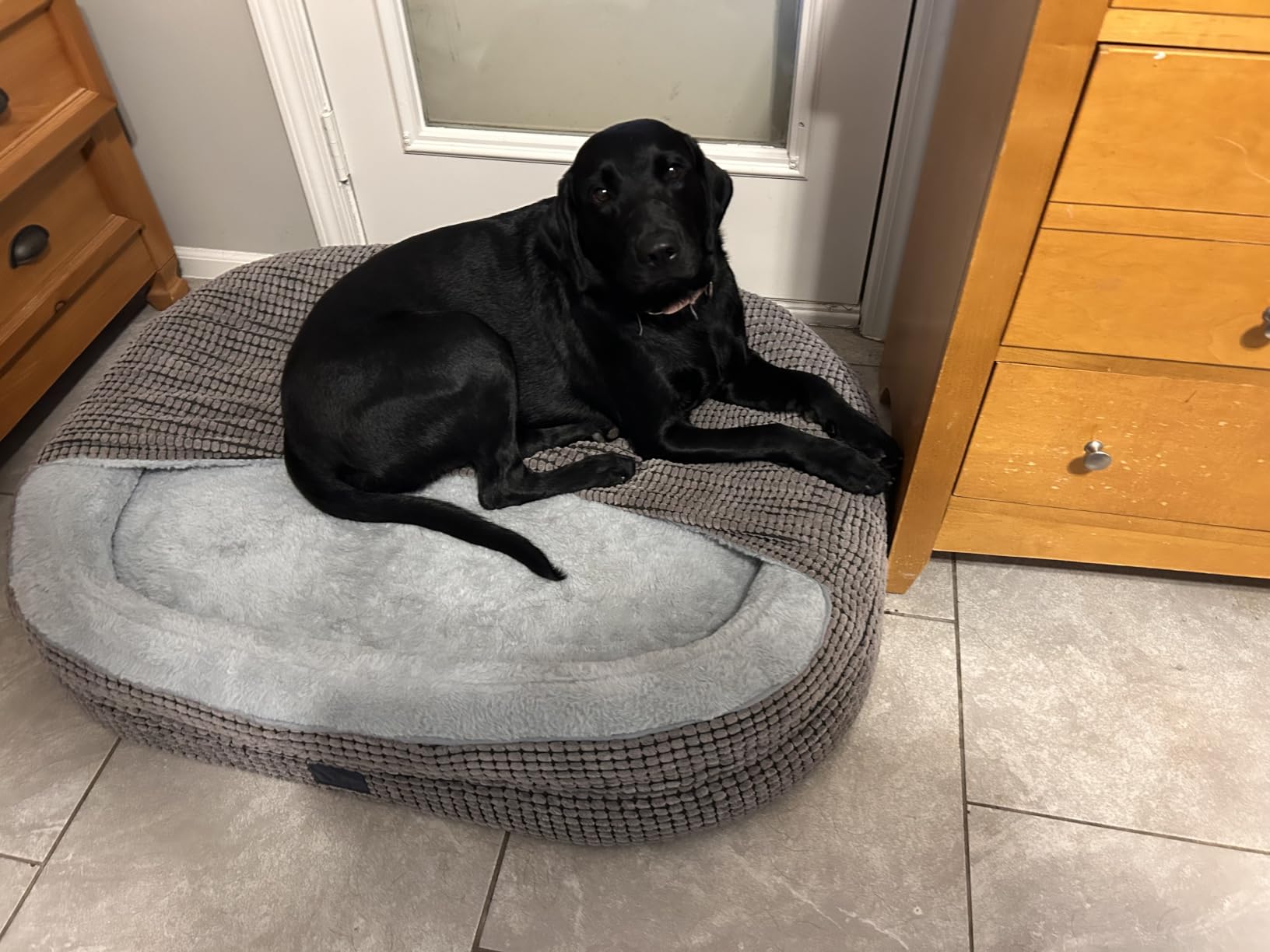Veehoo 2-in-1 Dog Cave Bed with Cover, Covered Dog Bed for Large Dogs | Hooded blanket, supportive foam, removable washable cover, plush comfort, non-slip bottom customer photo 1
