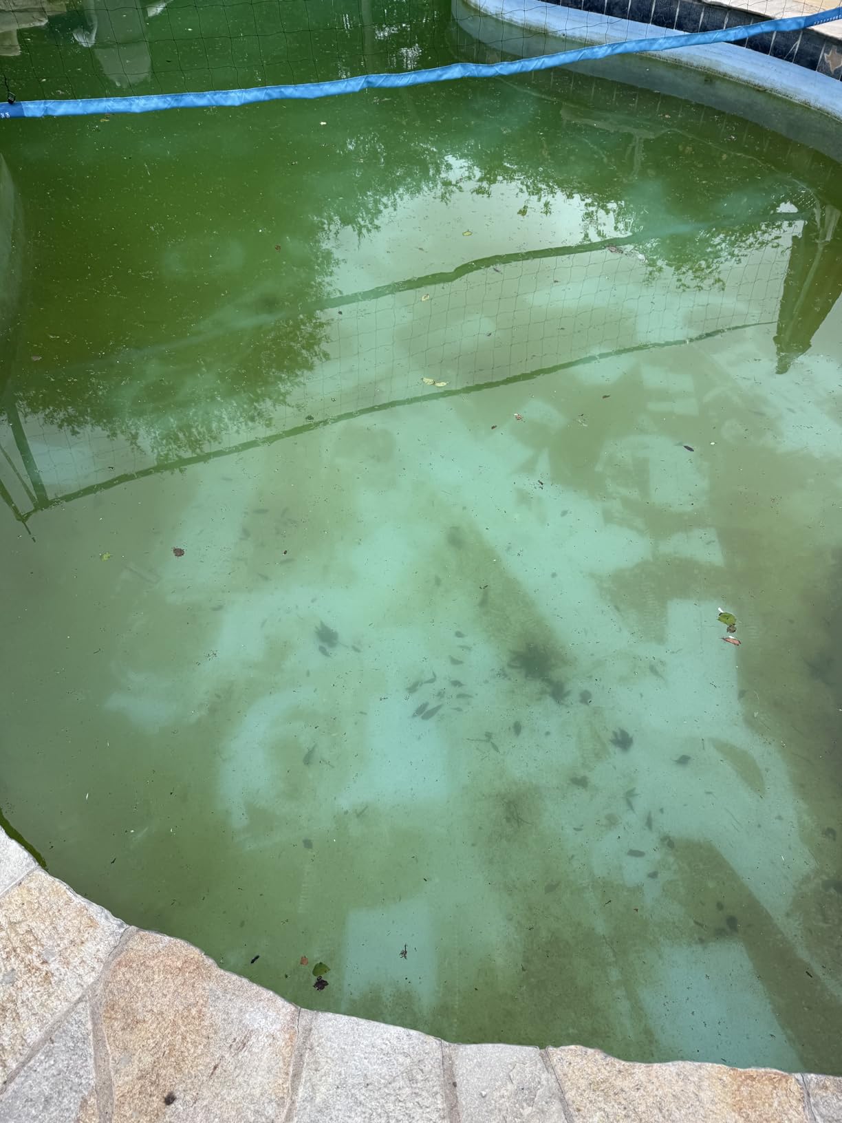 [2026 Release] Automatic Robotic Pool Vacuum for Inground & Above Ground Pools, Wall Climbing Pool Vacuum Cleaner, Cleans Floor, Walls, Waterline, Drain & Skimmer up to 2150 Sq. Ft., 190 Min customer photo 2