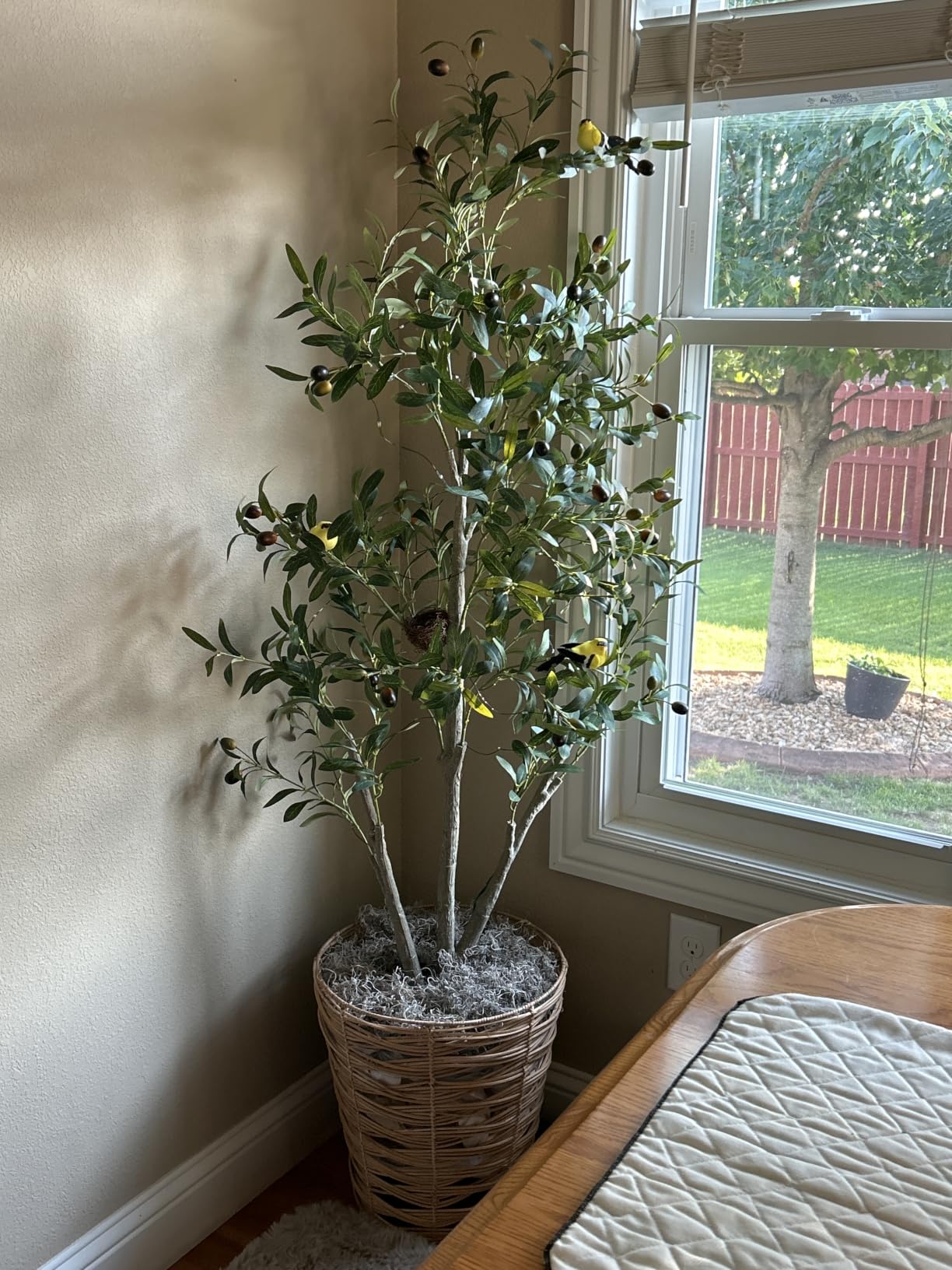 6FT Faux Olive Tree with Decorative Planter, Olive Trees Artificial Indoor with Textured Trunk, Silk Leaves and Olive Fruits, Fake Plants for Living Room, Entryway and Office Decor customer photo 2
