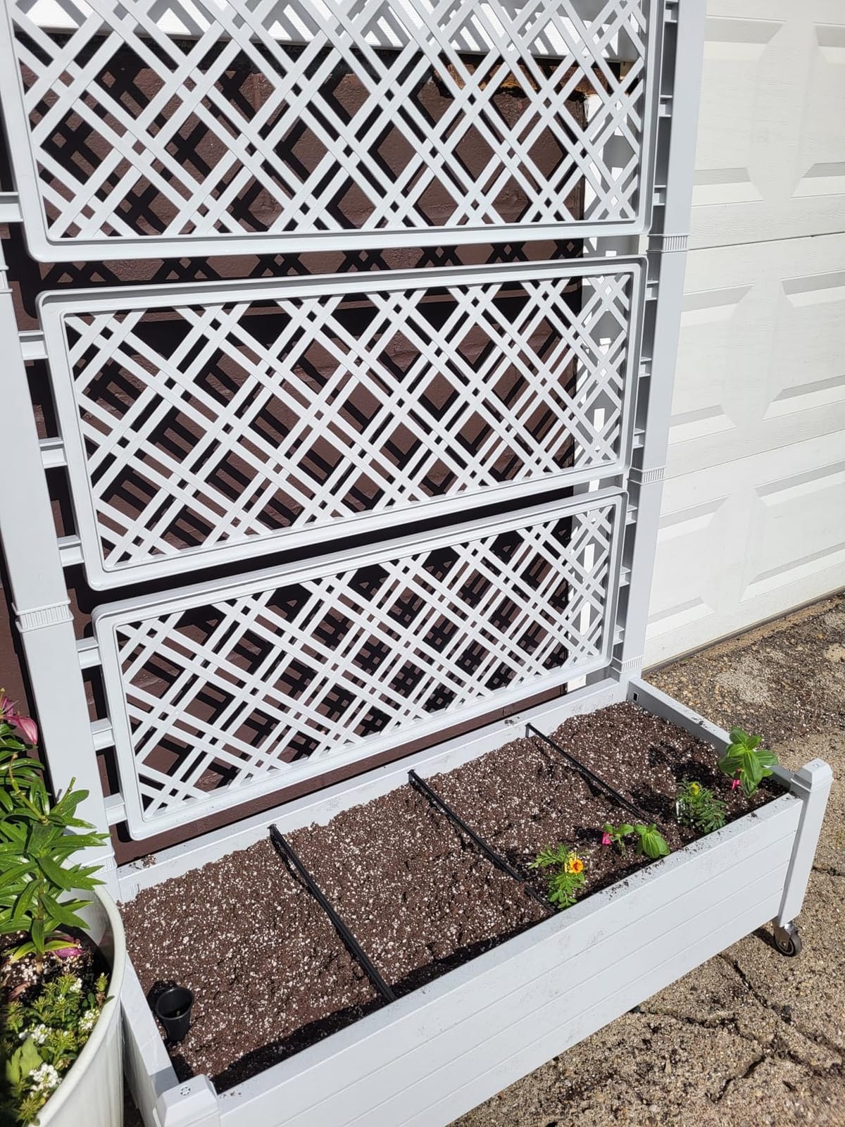 WTFGO Elevated Raised Garden Bed with Trellis & Wheels, Ashen-61.2