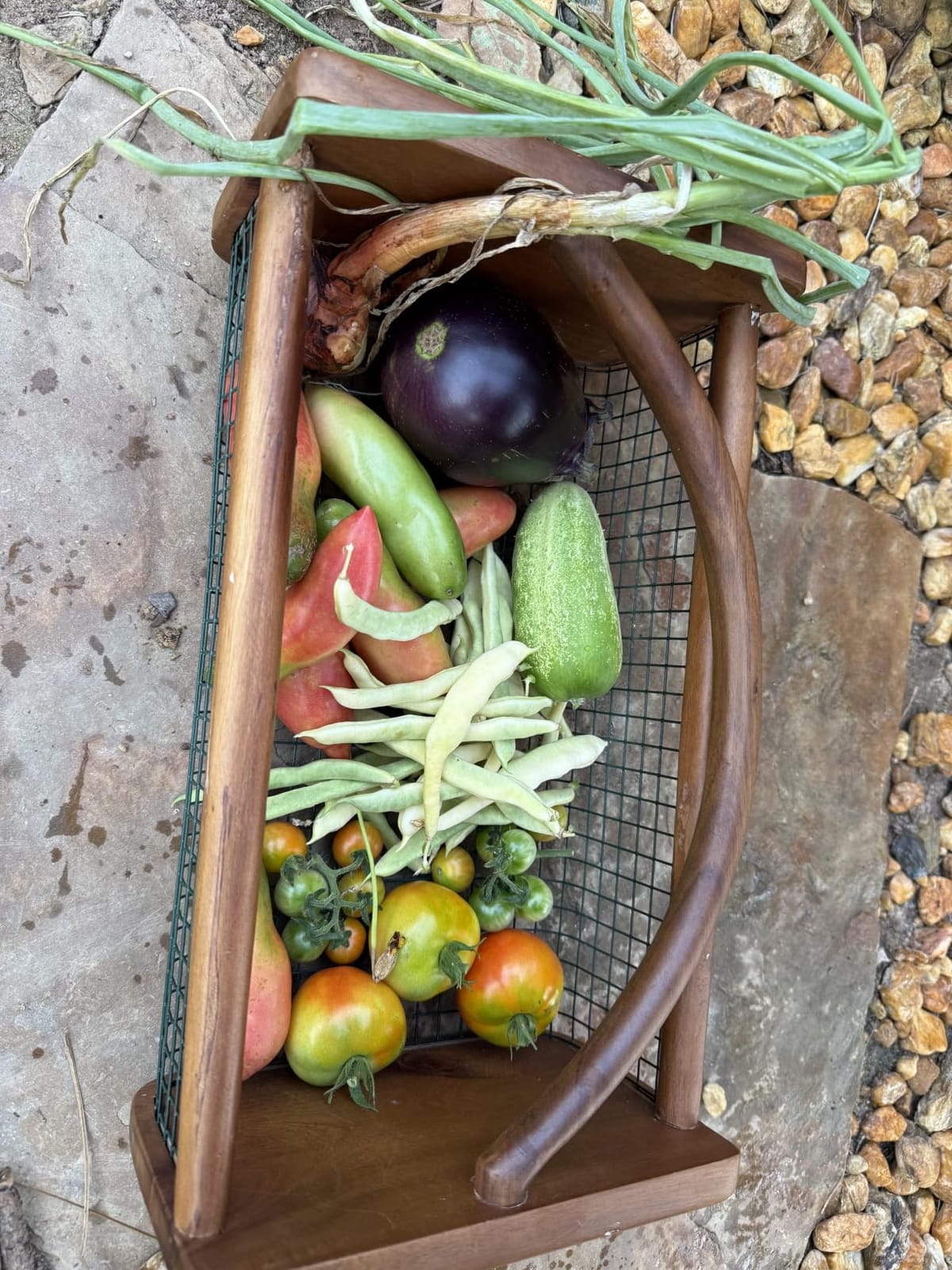HOMESTEAD Garden Hod Harvest Basket, Durable Acacia Wood Frame with Rotating Handle, Farmhouse Basket for Home Improvement, Gardening, Farm, Kitchen, Indoor Outdoor Use, Brown customer photo 2