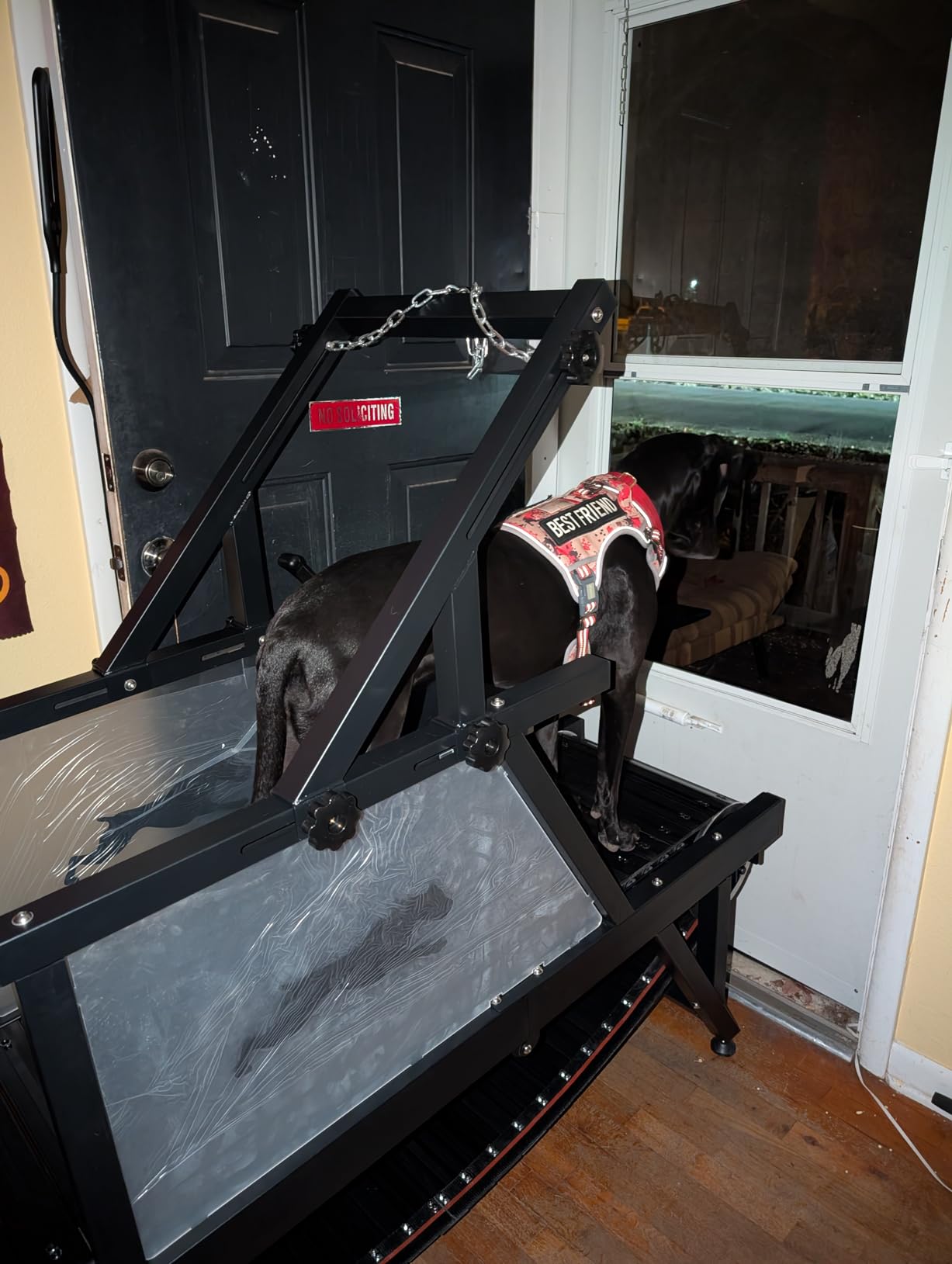 Dog Treadmill, HotFeed Dog Slat Mill for Medium Dogs, Doggy Treadmill with Brake & Plastic Track, Dog Pacer Treadmill to Keep Active and Fit, Up to 300LBS customer photo 2