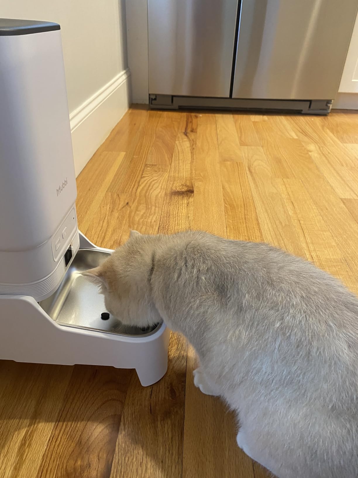Automatic Cat Feeder with Camera - 7L/29 Cups Auto Dog Feeder with Large Food Tray & 1080P Night Vision, Elevated Bowl, 2-Way Audio, 10s Voice Recording, 5G WiFi Timed Cat Food Dispenser, 1-15 Meals customer photo 1