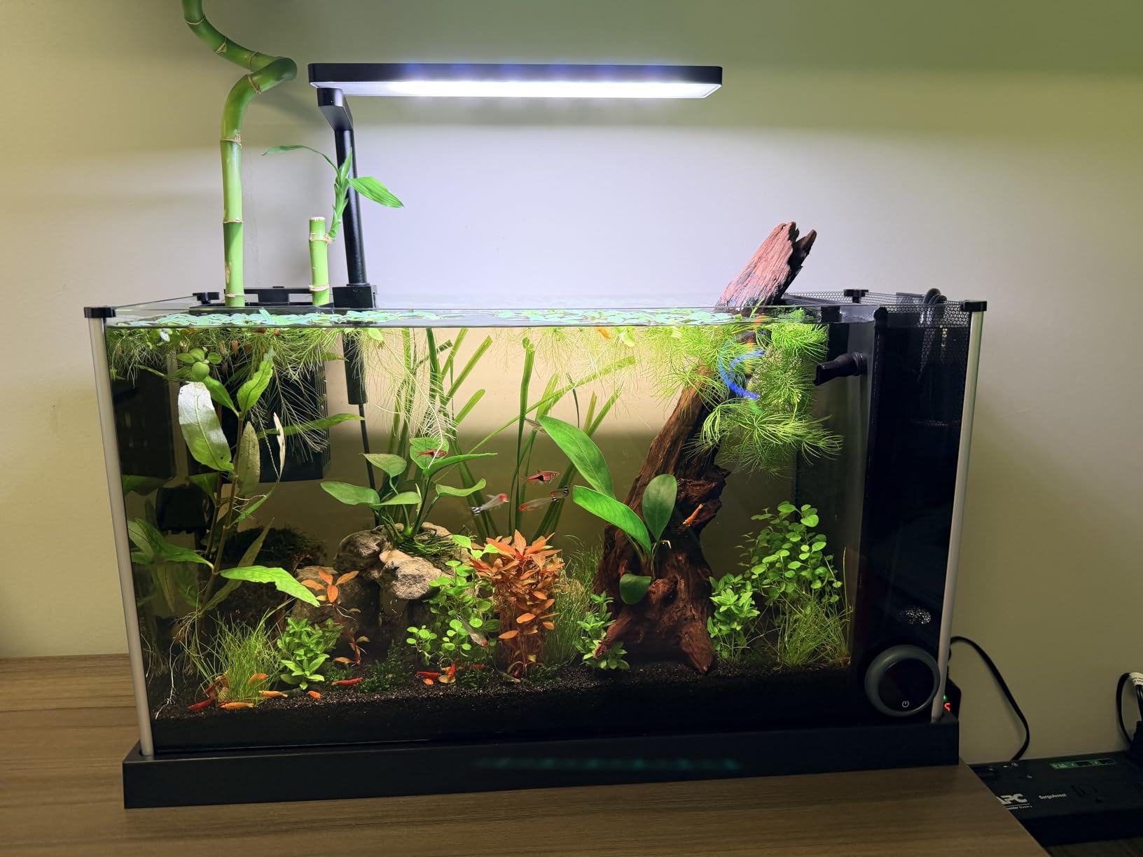 FZONE Solo Series Nano LED Aquarium Marine Reef Light, Smart App-Controlled and Dimmable, for Rimmless Saltwater and Reef Coral Tanks customer photo 1