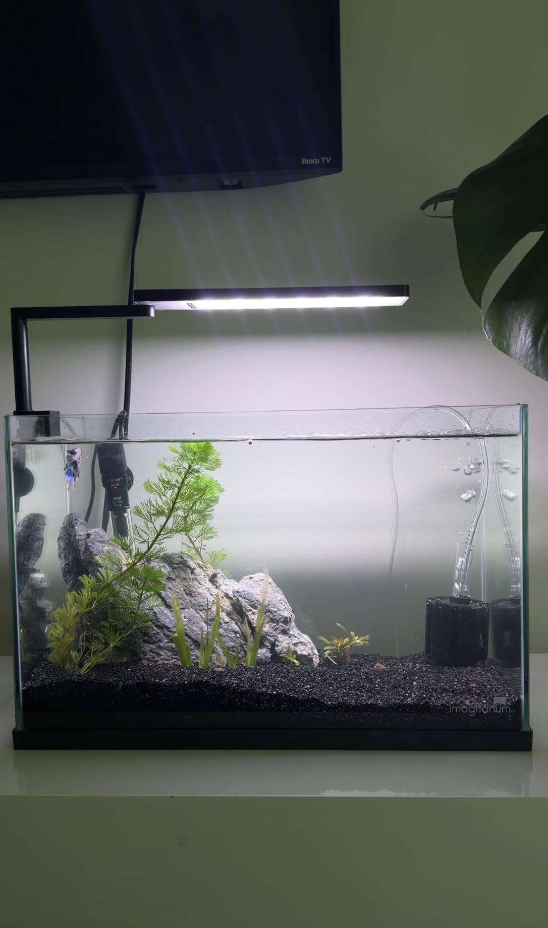 FZONE Solo Series Nano LED Aquarium Marine Reef Light, Smart App-Controlled and Dimmable, for Rimmless Saltwater and Reef Coral Tanks customer photo 2