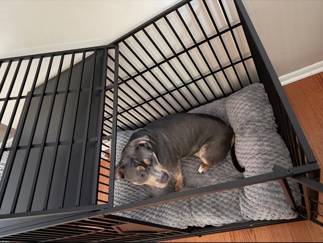 CAMMOO 48'' Heavy Duty Dog Crates for Large Dogs - Escape-Proof Dual Top Fences, Reinforced Square Tube Frame, Dog Kennel Indoor, Easy-Clean Split Floor, Extra-Wide Door, Dog Cage for High Anxiety Dog customer photo 1