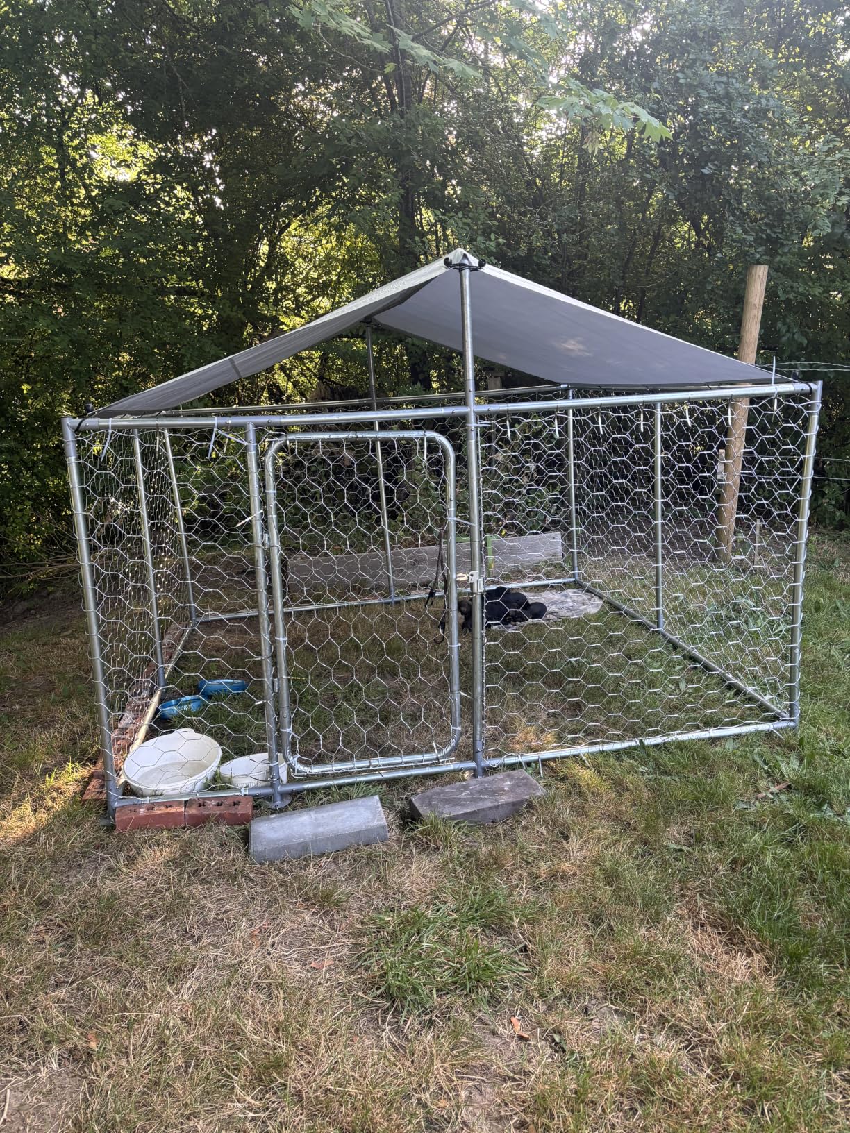 10'x10' Large Outdoor Dog Kennel Outside with Roof, Heavy Duty Dog Enclosure with Security Lock and Removable Waterproof Cover, Galvanized Wire Mesh Dog Cage for Large Dogs customer photo 1