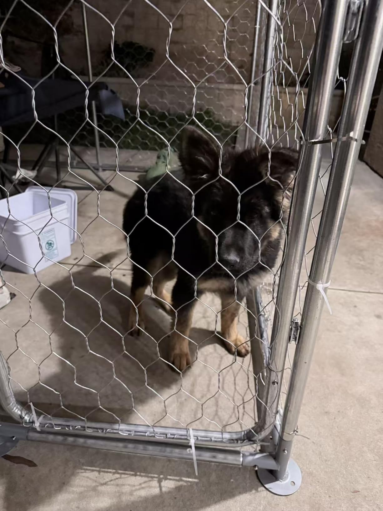 10'x10' Large Outdoor Dog Kennel Outside with Roof, Heavy Duty Dog Enclosure with Security Lock and Removable Waterproof Cover, Galvanized Wire Mesh Dog Cage for Large Dogs customer photo 2