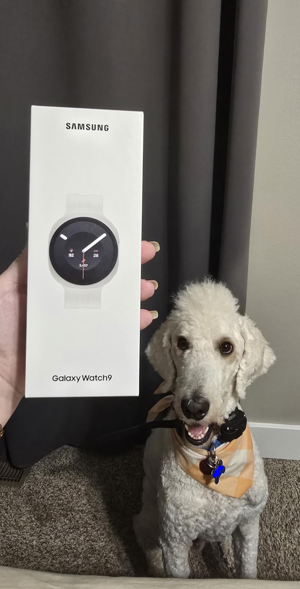 Samsung Galaxy Watch9, Cream, 40mm Bluetooth Smartwatch customer photo 2