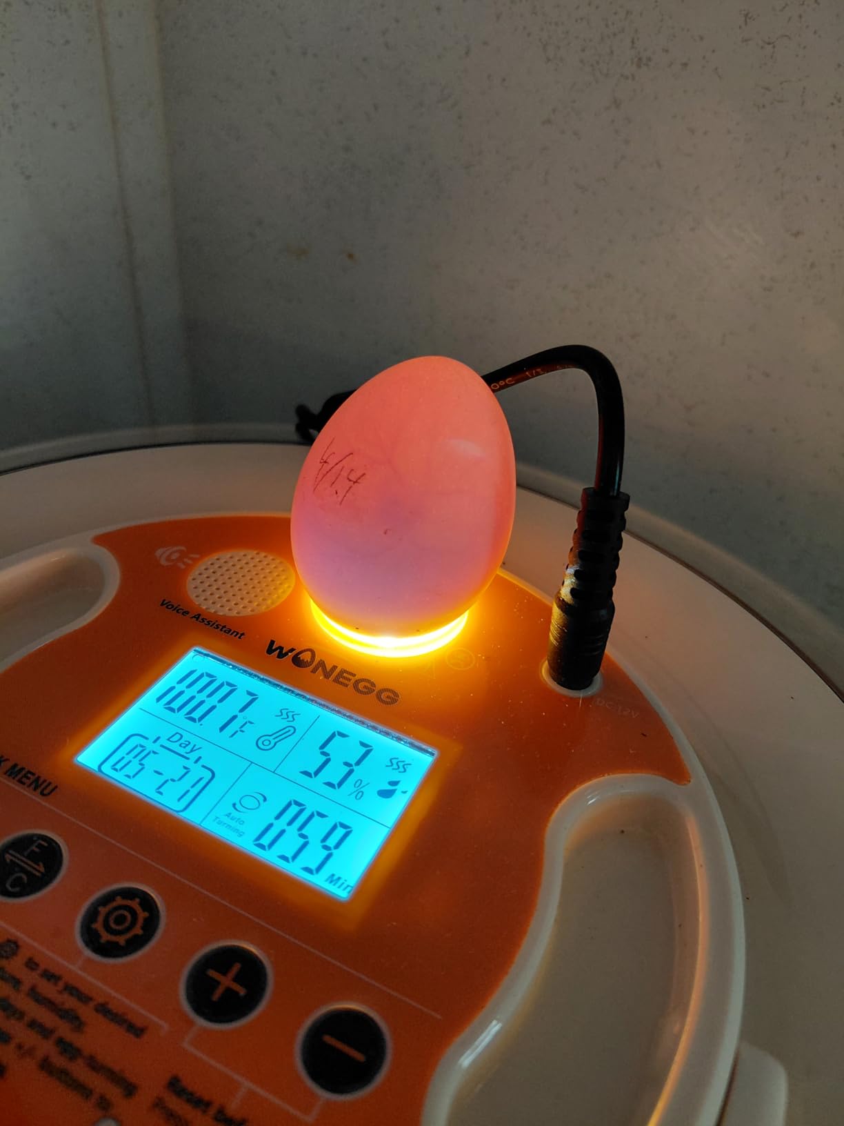 216 Egg Incubator for Hatching Eggs, Fully Automatic Egg Incubator with Auto Temp/Water/Turning, for Chicken Duck Goose Quail Pigeon Turtle Eggs, Humidity Control by Bottles, 360° View Clear Window customer photo 2