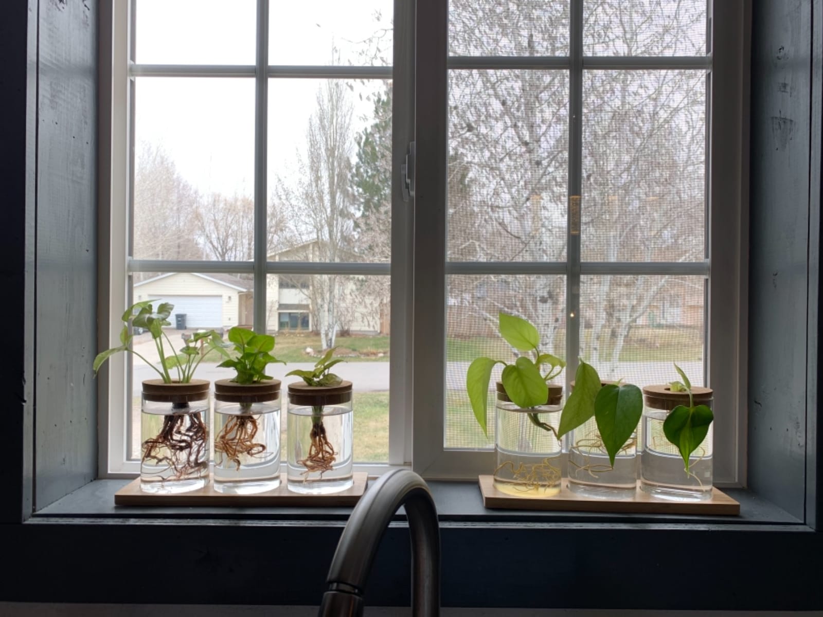 Plants Propagation Station | Vertical Hydroponic Tower Garden - Hydroponics Growing System Indoor, Aeroponic Tower Kit 30 Pods Grow customer photo 2