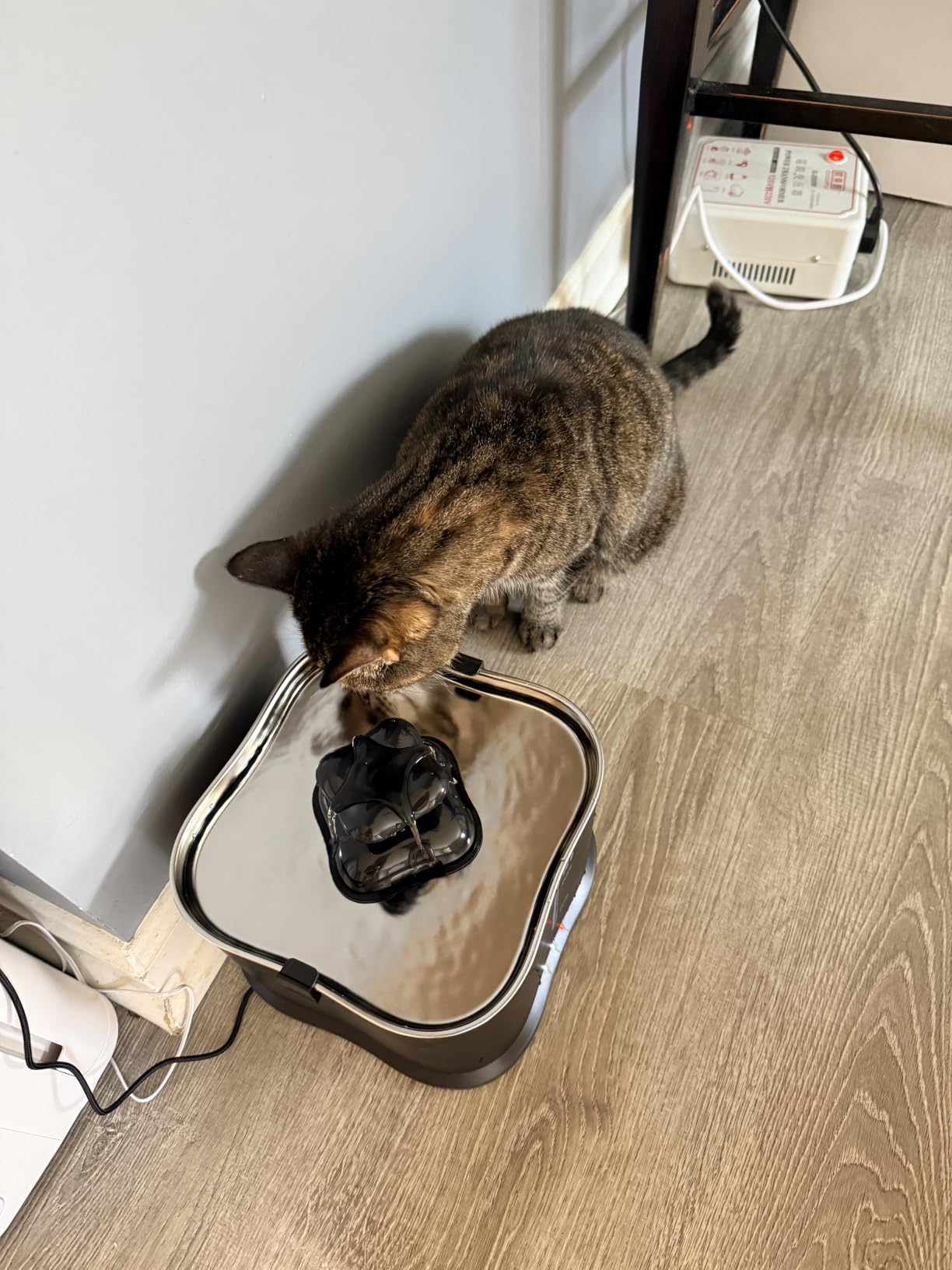 EGFKI EG-9 Smart Cat Water Fountain, 3.6L/121oz Automatic Cat Fountain with APP Control & 2.4GHz WiFi, Smart Hydration Tracking & Alerts, 20dB Ultra Quiet, Stainless Steel Tray, Easy to Clean, Black customer photo 1