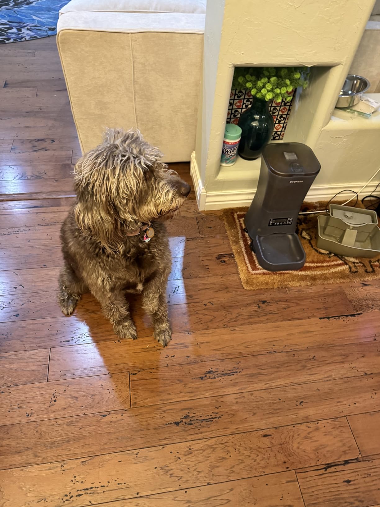 DOGNESS 11L Cordless Programmable Large Breed Dog Feeder | Automatic Timed Dog Feeder Extra Large Pet Food Dispenser Feeder, Portion Control,5000mAh Battery and Plug-in Power(Black) customer photo 1