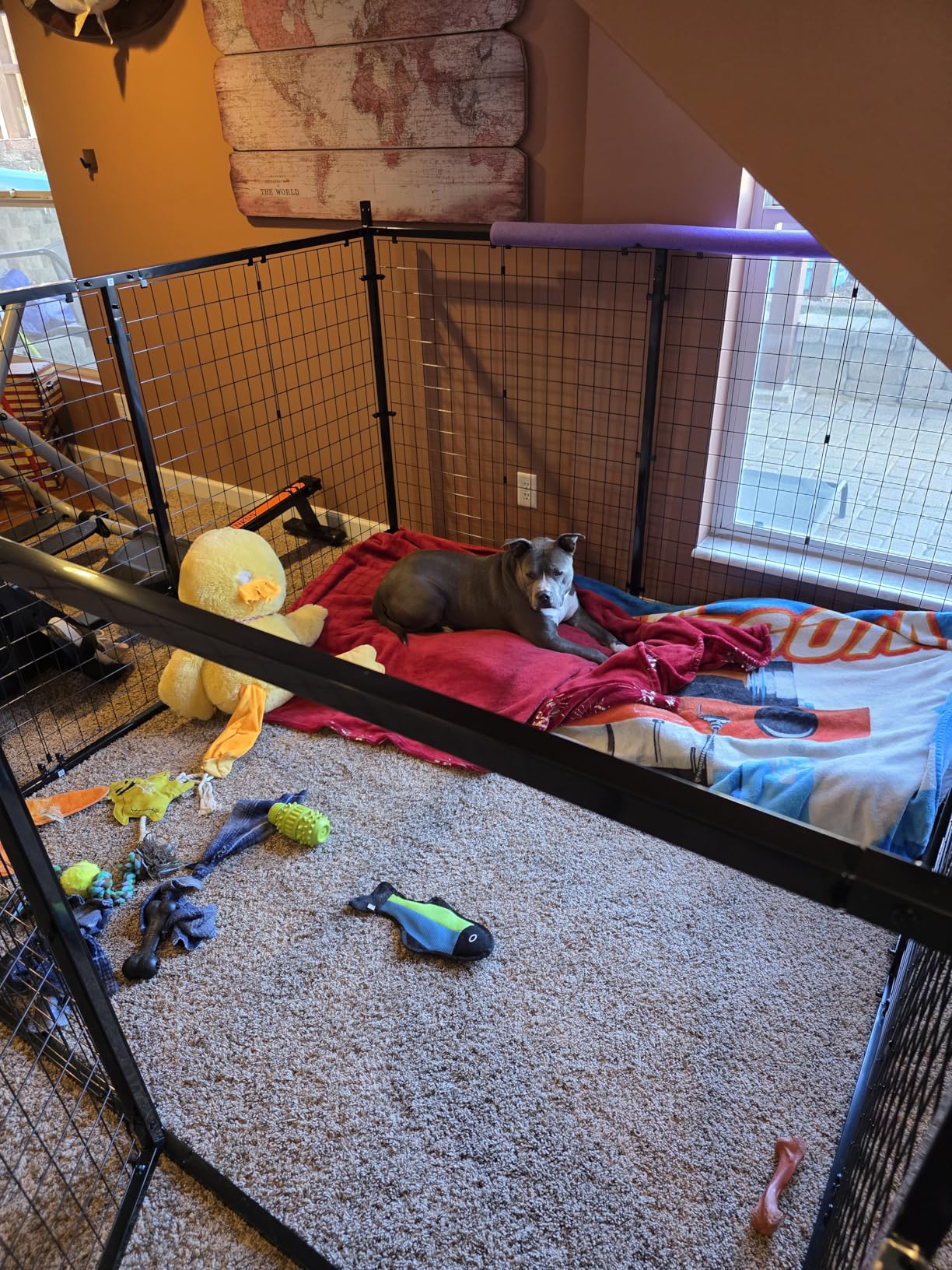 Large Outdoor Dog Enclosure,Heavy Duty Dog Kennel with Roof,Galvanized Steel Dog Cage Fence with Double Safety Locks(6.56'x 6.56') customer photo 1