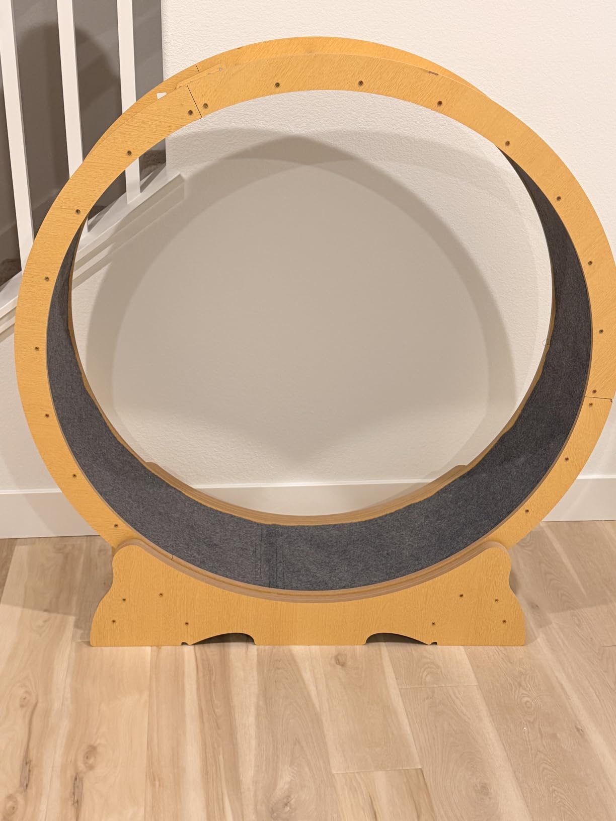 Cat Wheel for Indoor Cats, 48 Inch Diameter Exercise Running Wheel | Enhanced Base, Safety Lock, Quiet, For Cat's Longer Life Fitness, Wide Surface, Low-Entry Design, Easy Assembly, Natural Wood customer photo 1