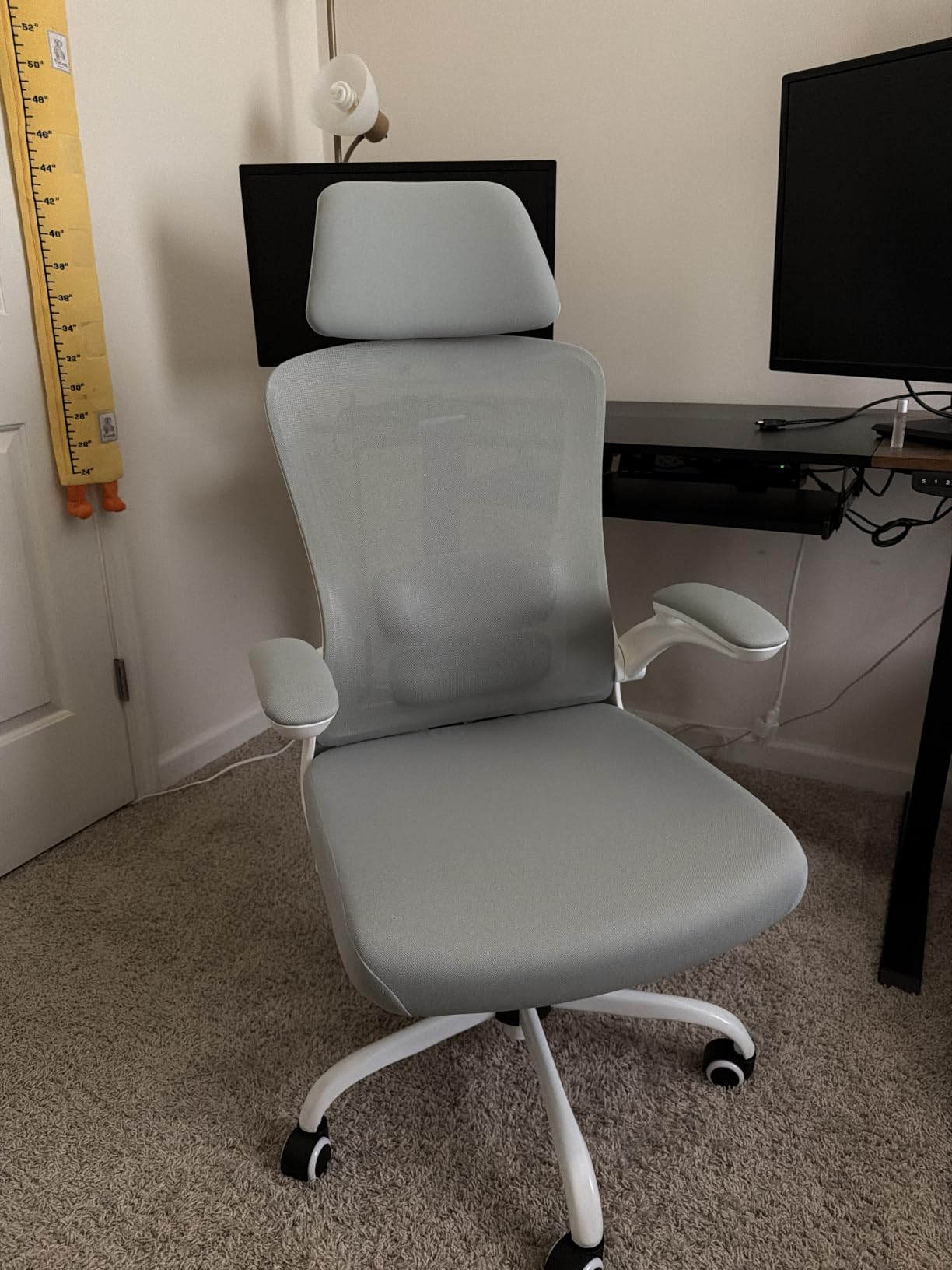 Ergonomic Office Chair for Long Hours, Adjustable Padded Lumbar Support for Lower Back Relief, 330 lb Capacity, Comfortable Computer Desk Chair for Home Office, Work & Study customer photo 2