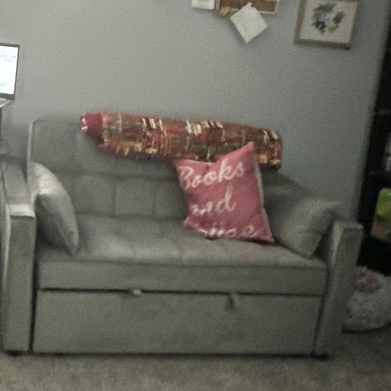 Sleeper Sofa Bed with Adjustable Backrest & Side Pockets, Gray | Adjustable Backrest & Side Pockets, Pull Out Sofa, Comfortable Fabric customer photo 2