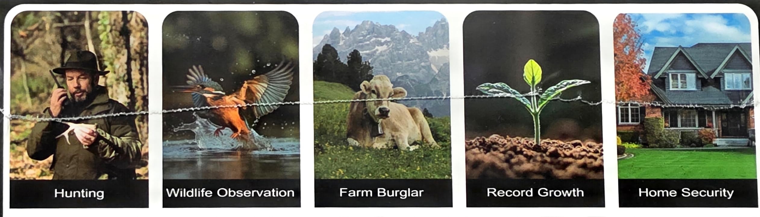 Trail Camera 2 Pack 4K 64MP Solar Game Camera with 5000mAh Forever Power, 64GB Memory Card and Ip67 Waterproof Angle Night Vision for Wildlife Deer Outdoor Trail Cam, Monitoring Trail Cameras customer photo 2