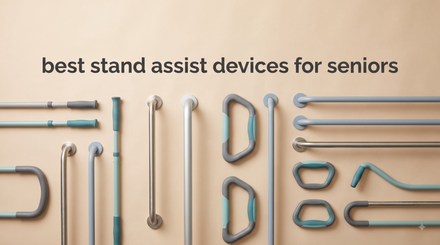 best stand assist devices for seniors
