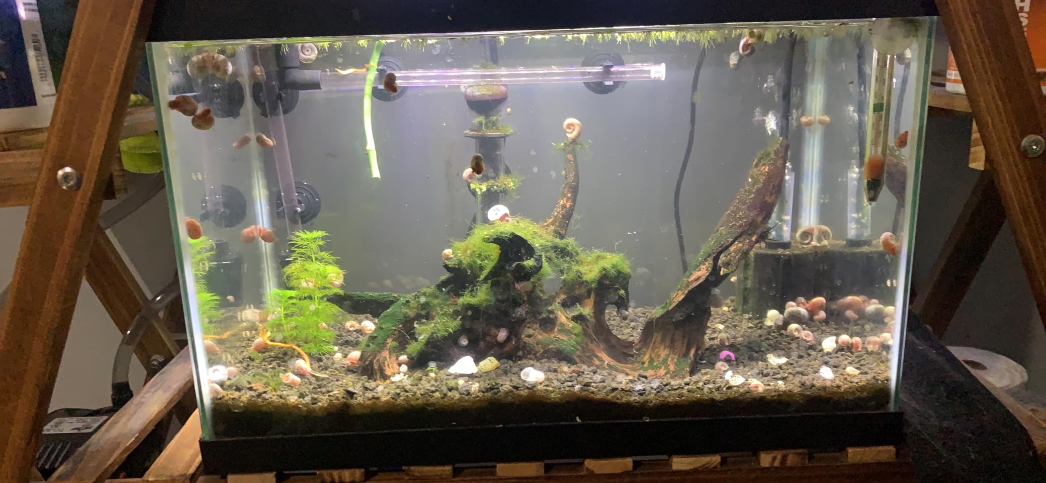 Zoo Med Turtle Clean 15 External Canister Filter customer photo 1