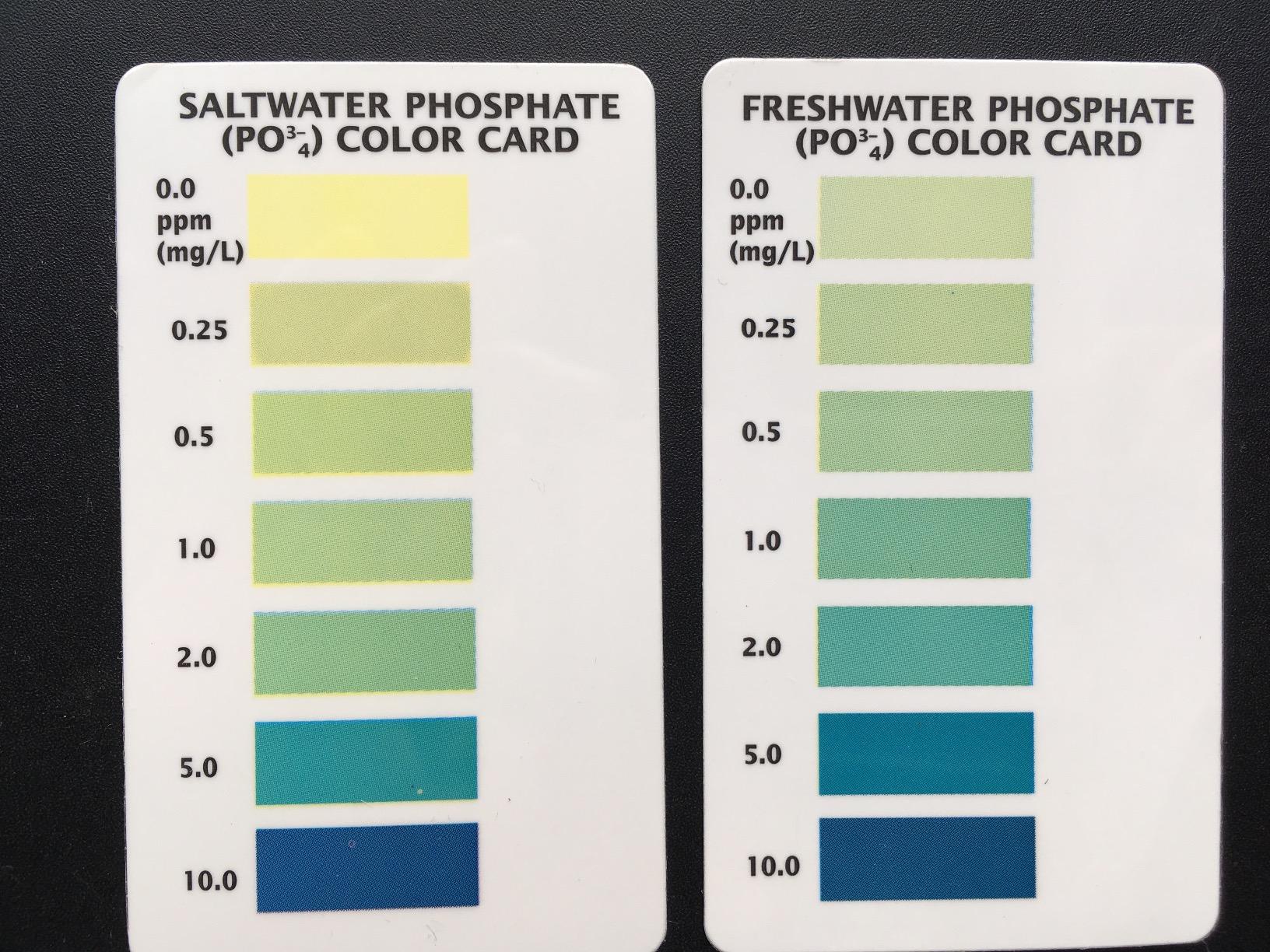 API Phosphate Test Kit For Freshwater And Saltwater, 64 OUNCES customer photo 2