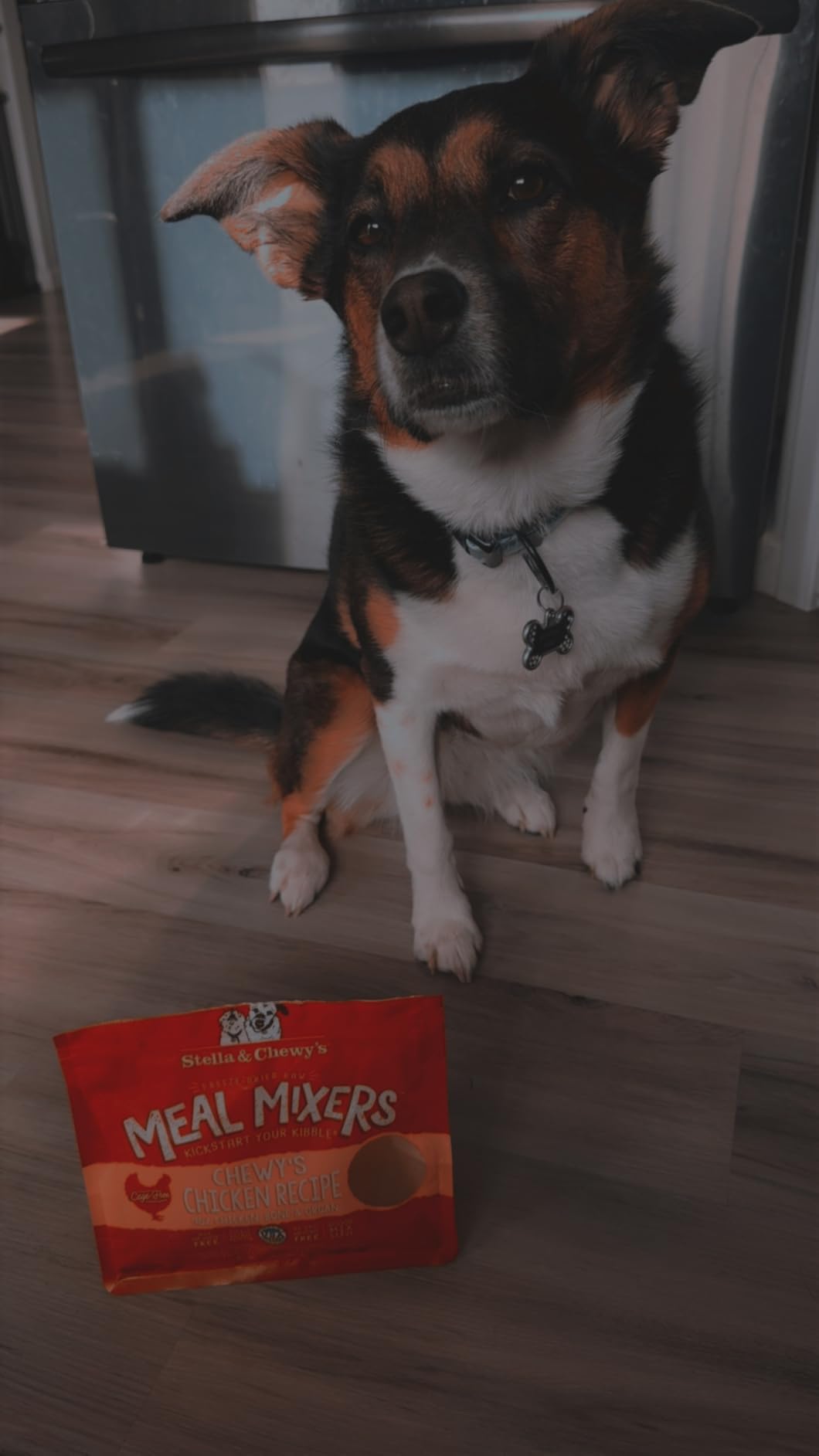 Stella & Chewy's Freeze-Dried Raw Chicken Meal Mixers - Dog Food Topper and Mixer - Made with 95% Cage-Free Chicken, Organs & Bone - Perfect for Picky Eaters - Grain-Free - 3.5oz customer photo 1
