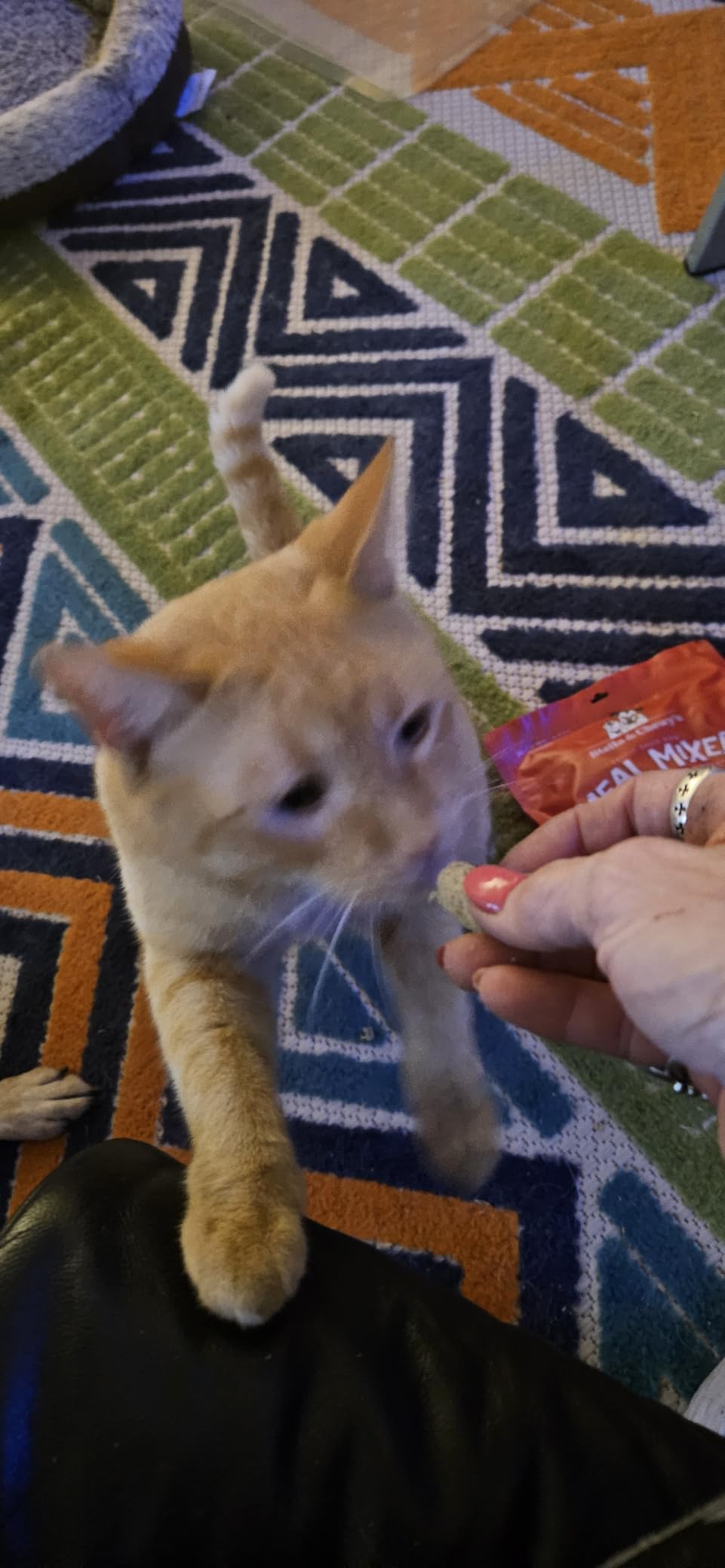 Stella & Chewy's Freeze-Dried Raw Chicken Meal Mixers - Dog Food Topper and Mixer - Made with 95% Cage-Free Chicken, Organs & Bone - Perfect for Picky Eaters - Grain-Free - 3.5oz customer photo 2
