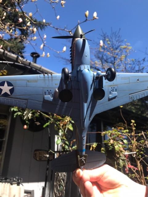 Hasegawa 1/32 P-40E Warhawk Texas Longhorn with Pilot Figure, Drop Tank and 500Ib Bomb customer photo 1