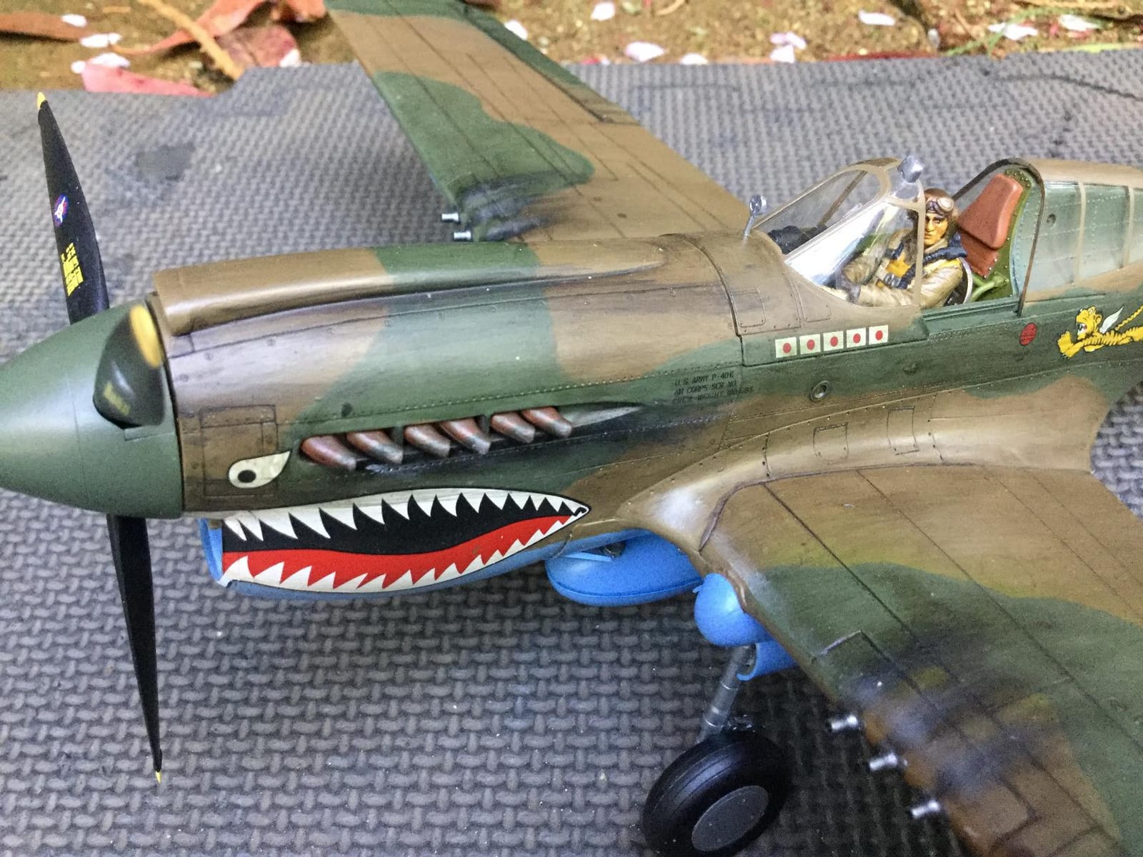 Hasegawa 1/32 P-40E Warhawk Texas Longhorn with Pilot Figure, Drop Tank and 500Ib Bomb customer photo 2