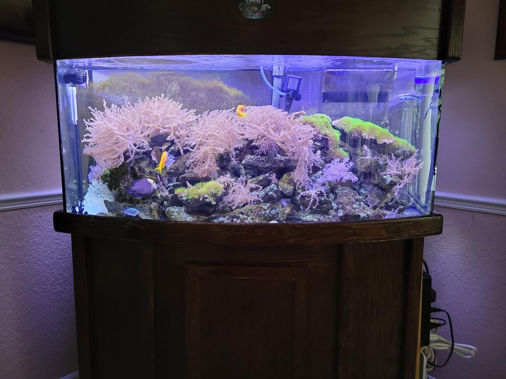 API Saltwater Master Test Kit 550-Test Saltwater Aquarium Water Test Kit customer photo 1
