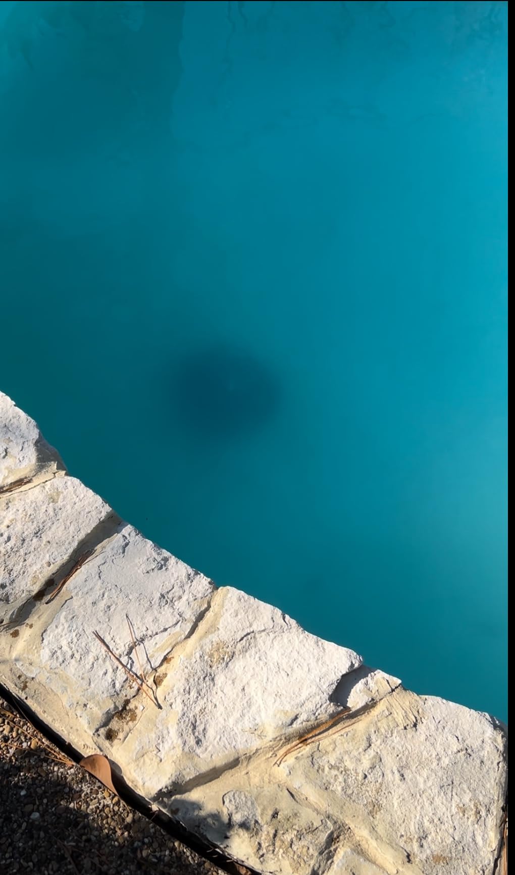 In The Swim Pool Shock - 68% Cal-Hypo Granular Sanitizer - 12 x 1 Pound | Powerful Pool Shock for In-Ground and Above Ground Pools customer photo 2
