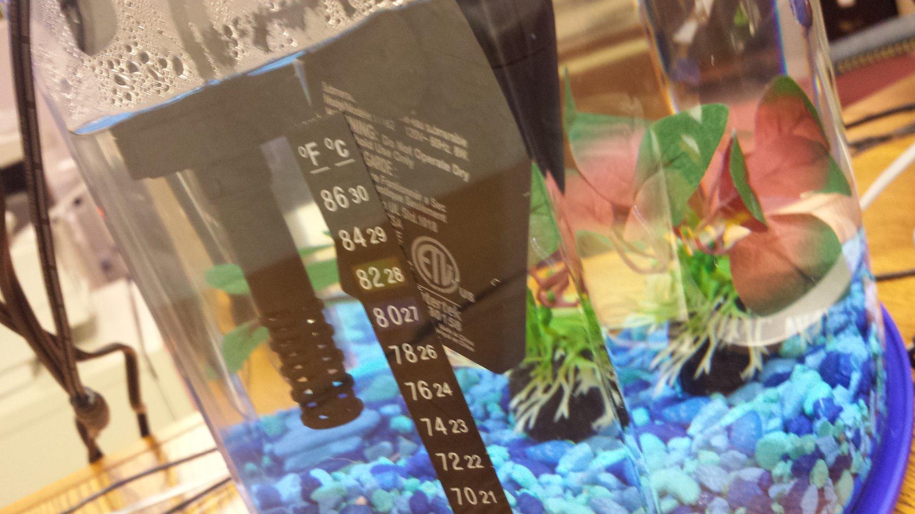 Marina Betta Fish 8W Submersible Heater customer photo 1