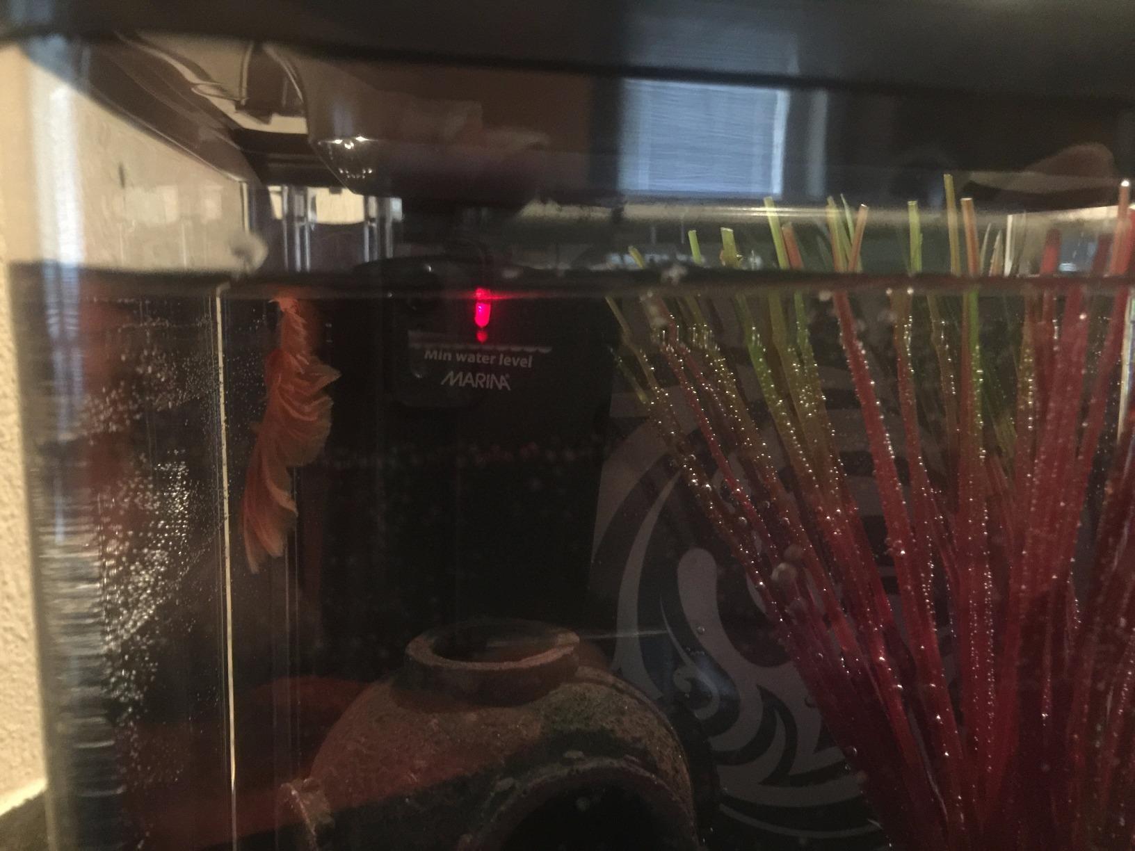 Marina Betta Fish 8W Submersible Heater customer photo 2