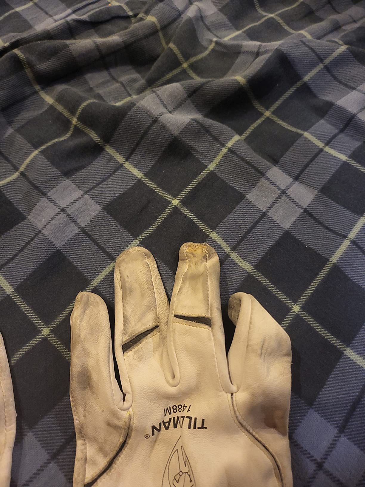Tillman Medium 11