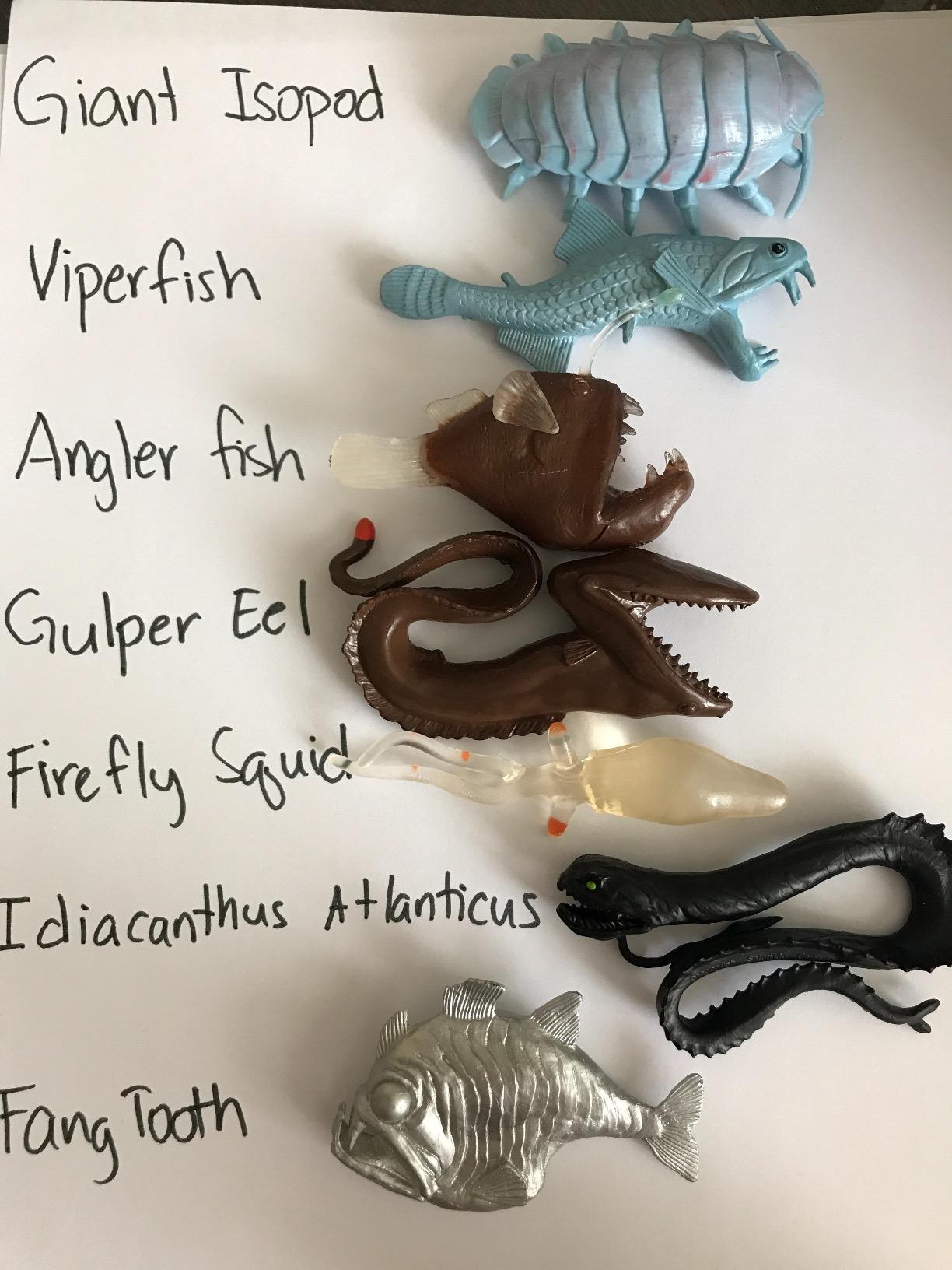 Safari Ltd. Deep Sea Creatures Toob - 7 Animal Figurines Toy Set for Kids customer photo 1
