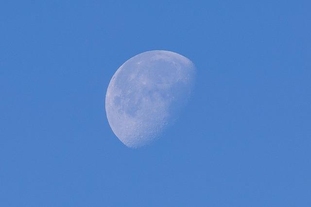 Canon EF 100-400mm f/4.5-5.6L is II USM Lens, Lens Only customer photo 1