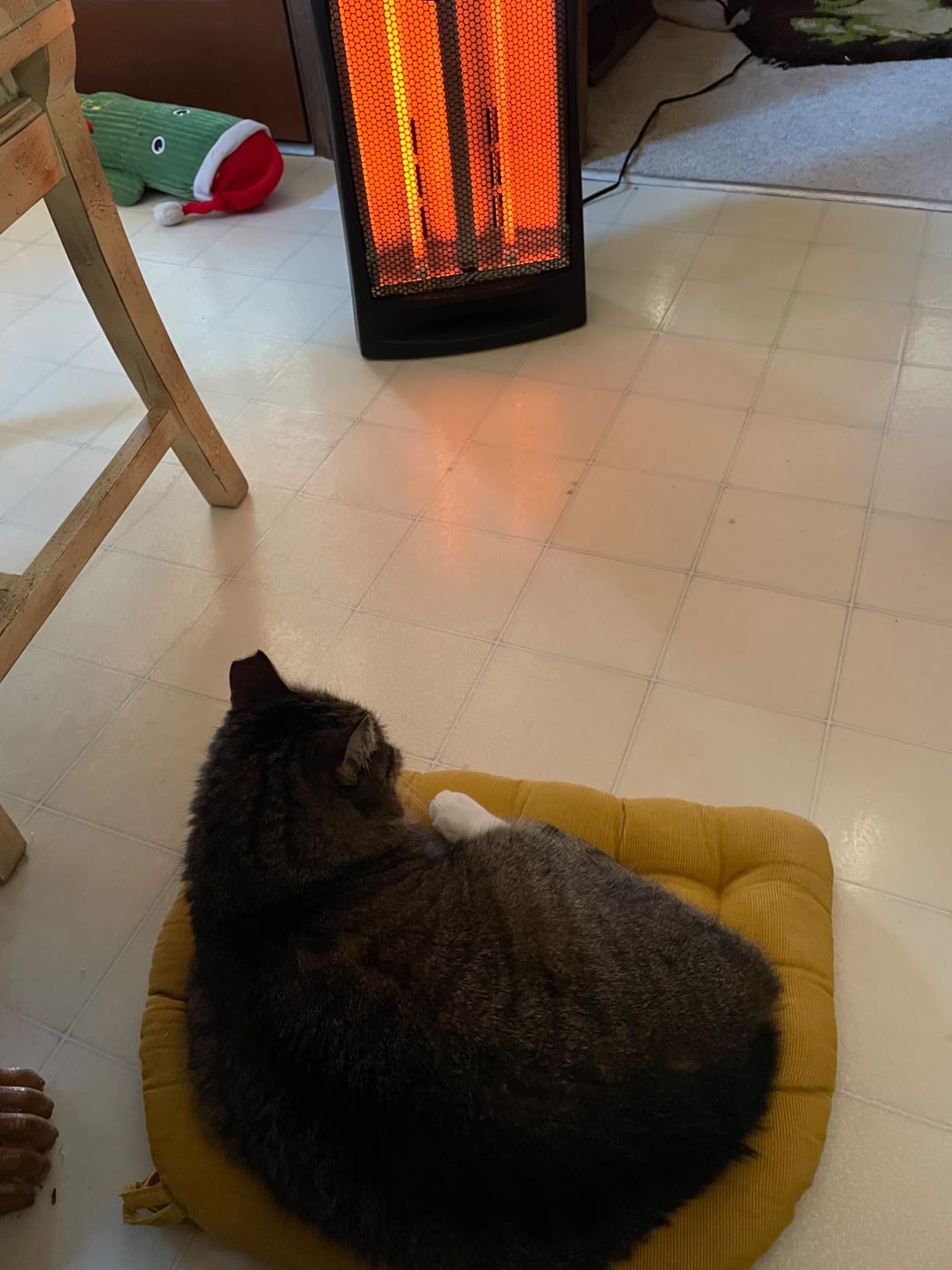Comfort Zone Indoor Tower Space Heater, Adjustable Thermostat, Radiant Heat, Electric, Infrared Quartz, 2 Heat Settings, Overheat Protection, Ideal for Home, Bedroom, & Office, 1,500W, CZQTV007BK customer photo 1