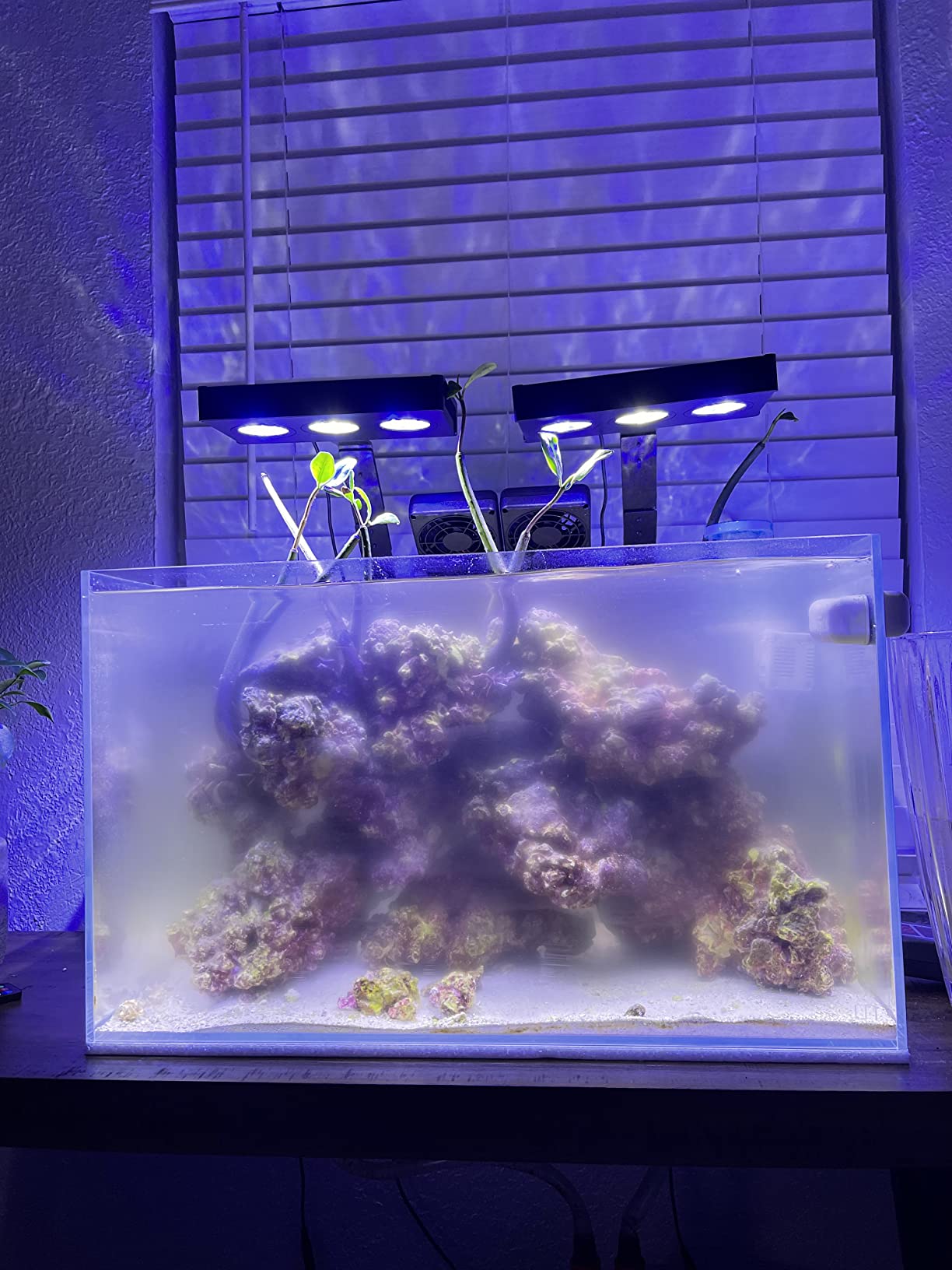 ESHOPPS Nano Skimmer | Protein Skimmer for Nano Tanks | New improved adjustable magnetic mount | Adjustable water height. Minimal foot print. Fits most All in one tanks back chamber customer photo 1