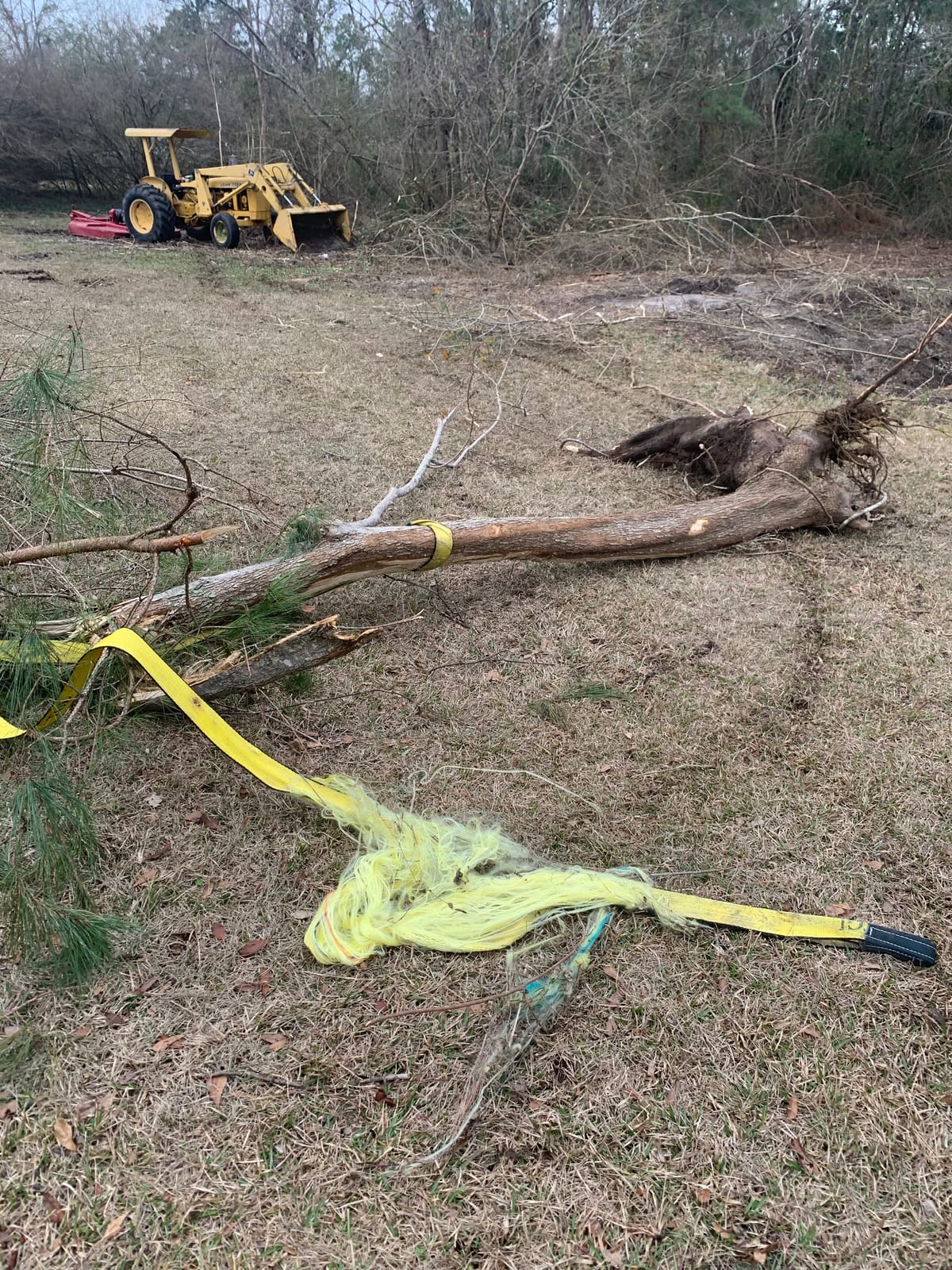 TGL Tree Saver Strap, Tow Strap Heavy Duty, Winch Strap, Tree Straps customer photo 1