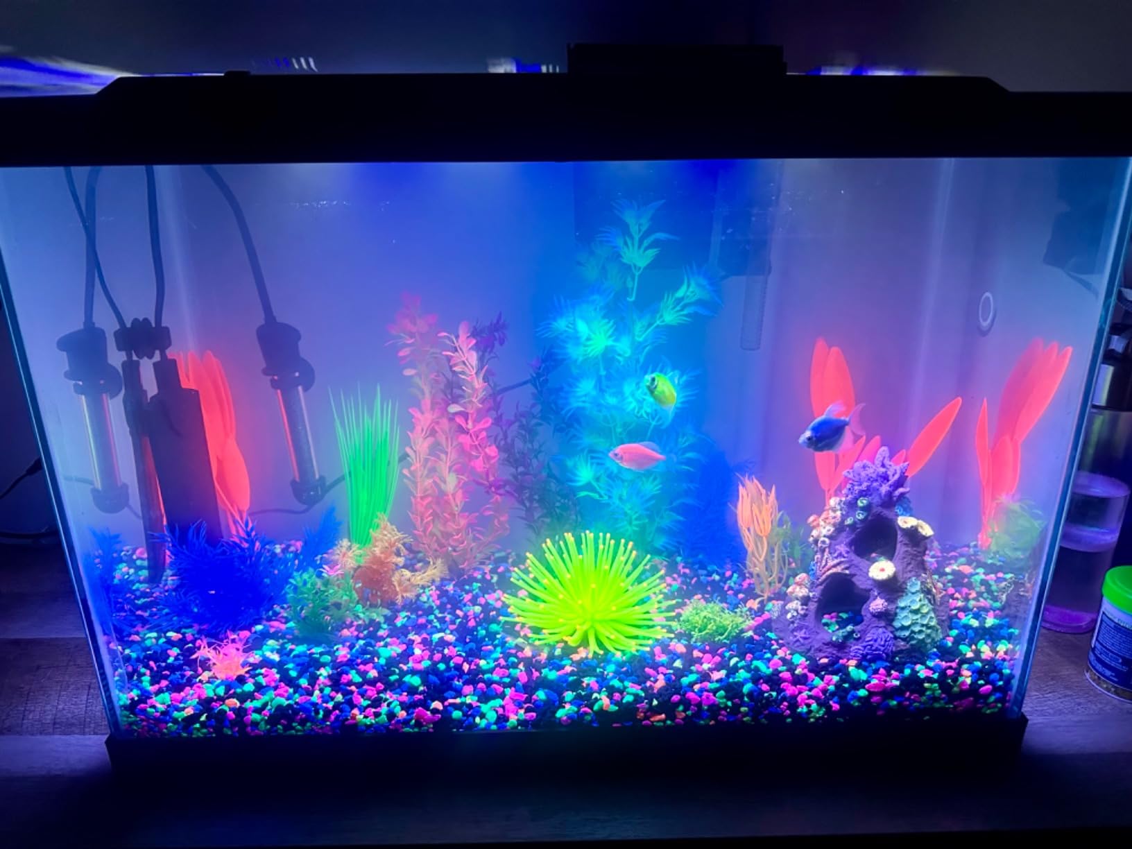 GloFish 20 Gallon Aquarium Kit with LED Lights, Decor Heater and Filter customer photo 1