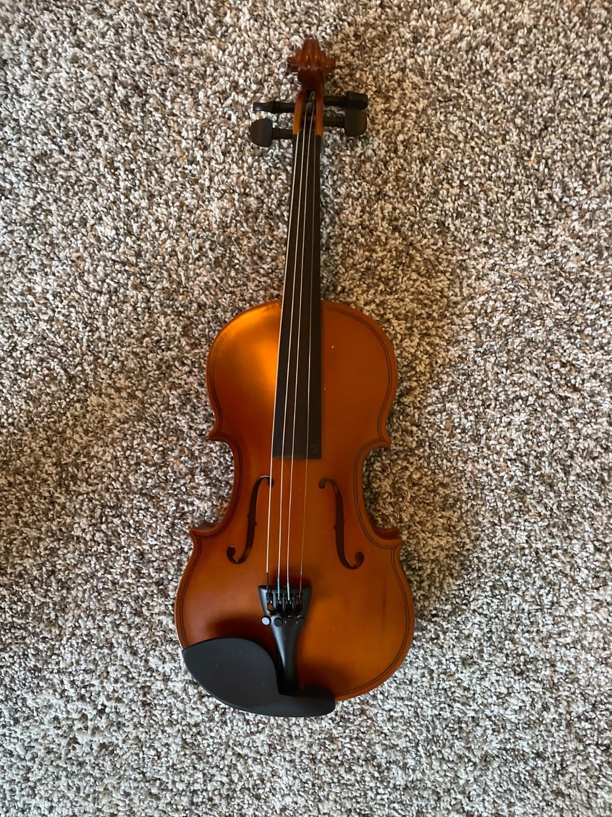 Paititi Student Violin Starter Kit with Case and Shoulder Rest - 1/8 customer photo 1
