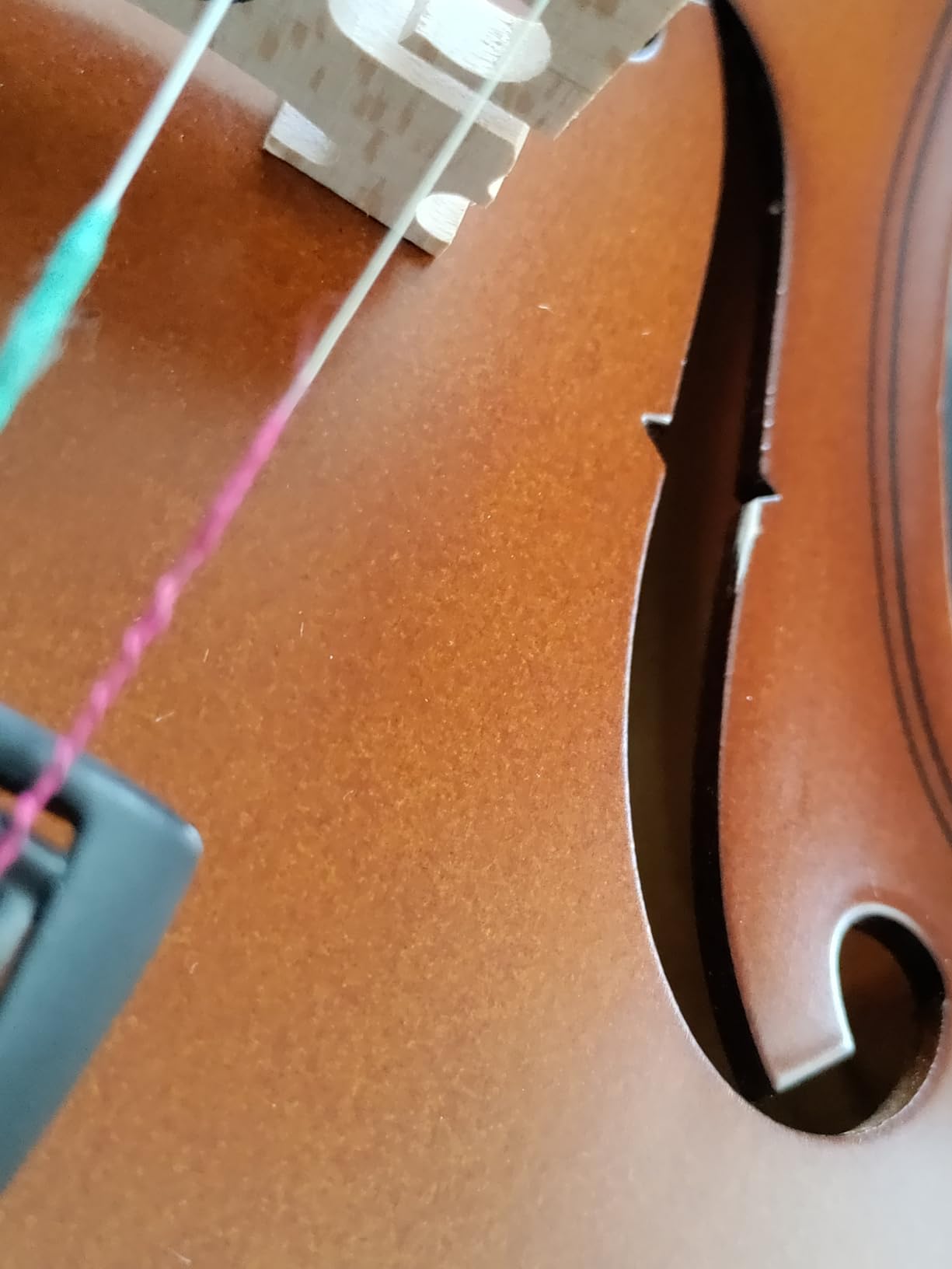Paititi Student Violin Starter Kit with Case and Shoulder Rest - 1/8 customer photo 2