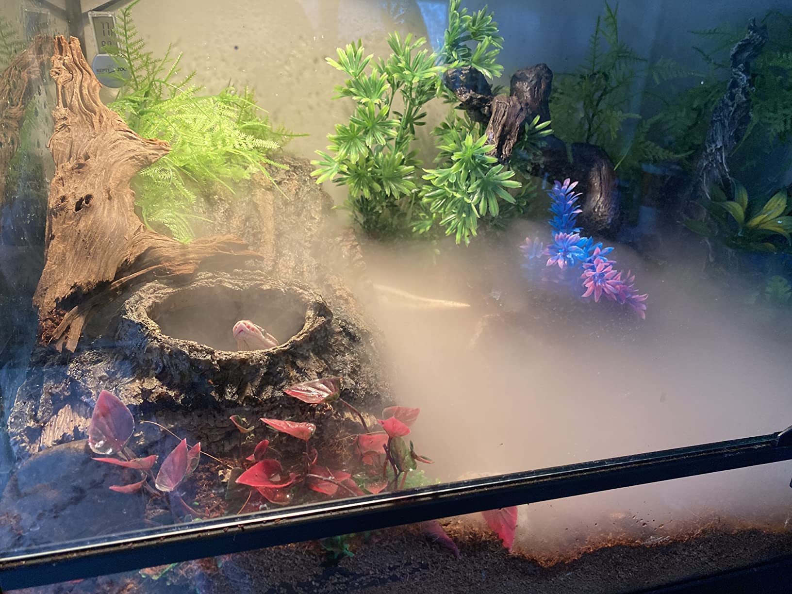Evergreen Pet Supplies Reptile Fogger & Humidifier - Adjustable Fog Output for Mini Terrarium Fogger - 2 L Tank with Auto Shut-Off for Tortoise Humidifier - 2 L, Black/Clear customer photo 1