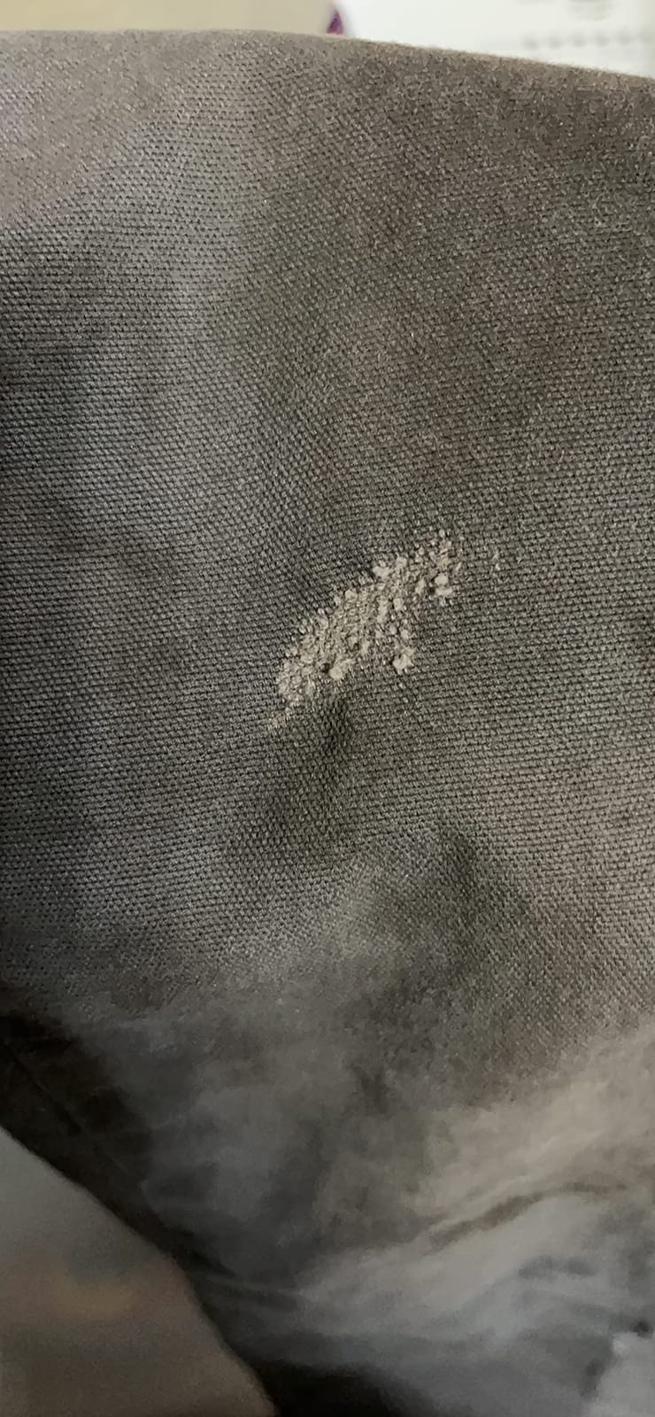 Men's Relaxed Straight Rigby Pant customer photo 2