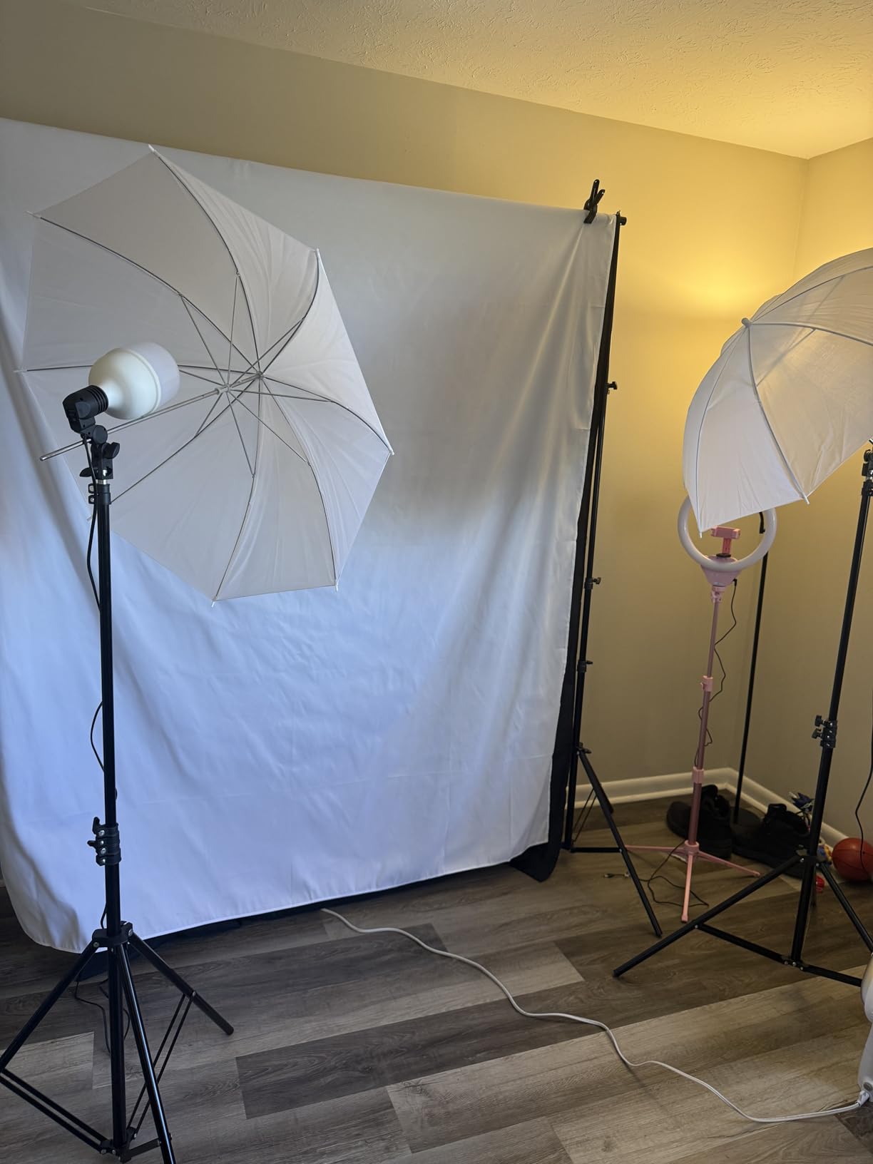 SLOW DOLPHIN 10 x 8.5 ft Photography Photo Video Studio Background Stand Support Kit with Muslin Backdrop (White Black), 5500K 85W LED Blub, Umbrella Lighting Kit for Studio, Portrait, Video Shooting customer photo 2