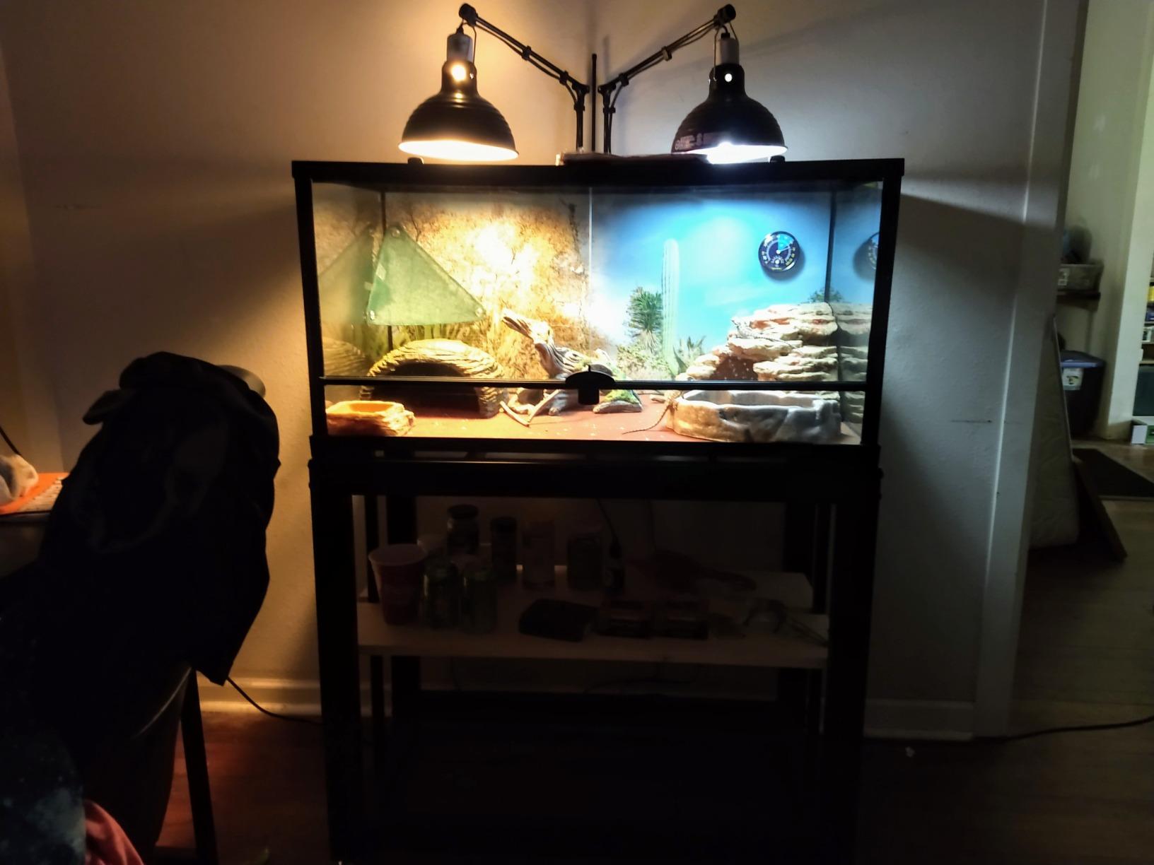 imagitarium by Petco Brooklyn Metal Tank Stand - for 40 Gallon Tanks customer photo 2