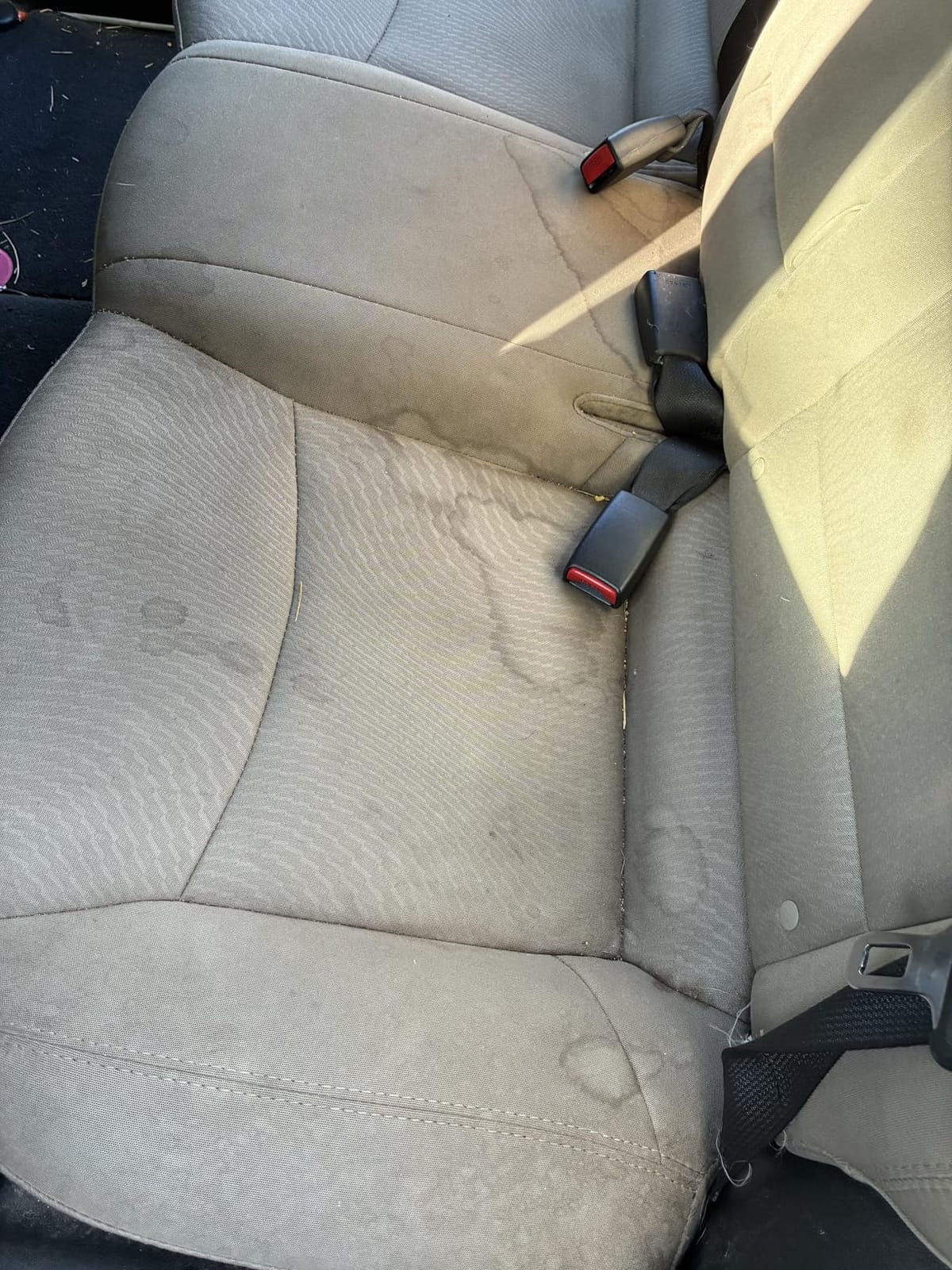 Chemical Guys, Foaming Citrus Fabric & Carpet Cleaner, Seats & Mats, 16 oz customer photo 1