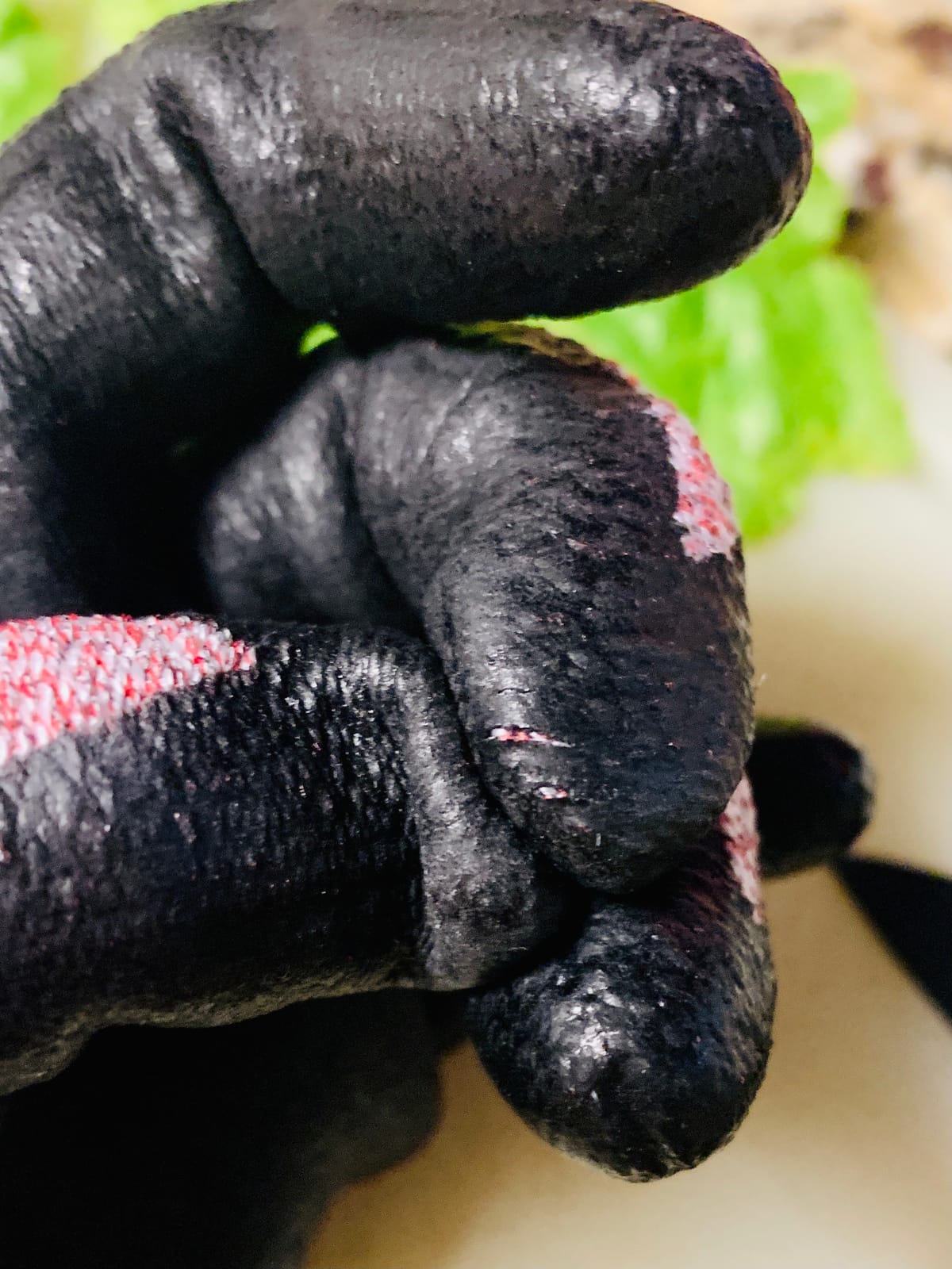 DEX FIT Level 5 Cut Resistant Gloves Cru553, 3D-Comfort Fit, Firm Grip, Thin & Lightweight, Touch-Screen Compatible, Durable, Breathable & Cool, Machine Washable; Grey M (8) 1 Pair customer photo 2