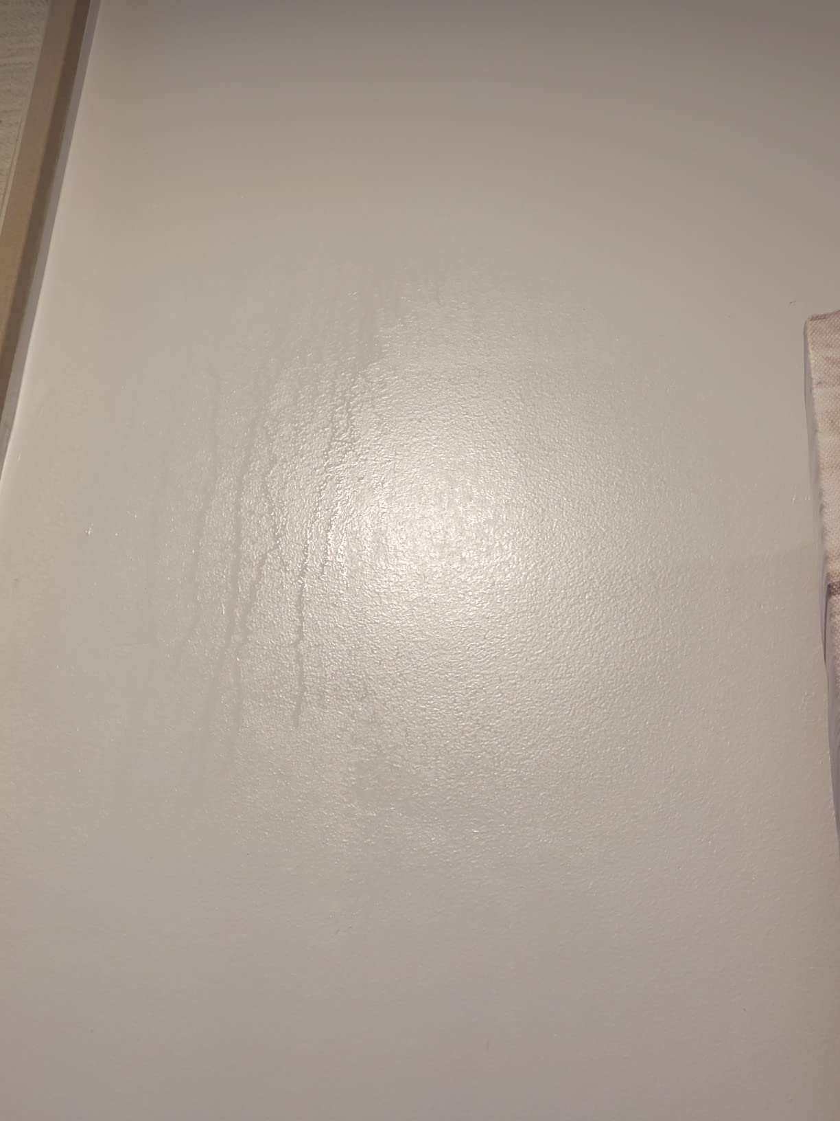 Panasonic WhisperSense Ceiling Mount Bathroom Exhaust Fan with Motion & Humidity Sensors, 50-80-110 CFM, FV-0511VQC1 customer photo 1