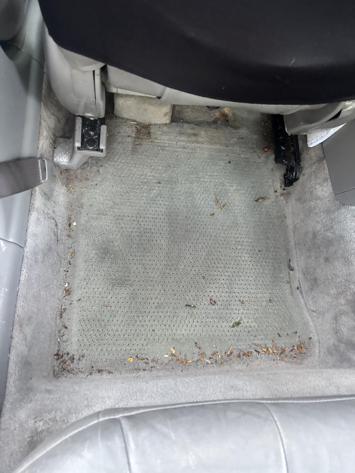 P & S PROFESSIONAL DETAIL PRODUCTS Carpet Bomber – Professional Upholstery Cleaner, Citrus-Based Formula, Removes Grease, Dirt & Odors, Highly Dilutable, Safe for Engines & Wheel Wells - 1 Gallon customer photo 2